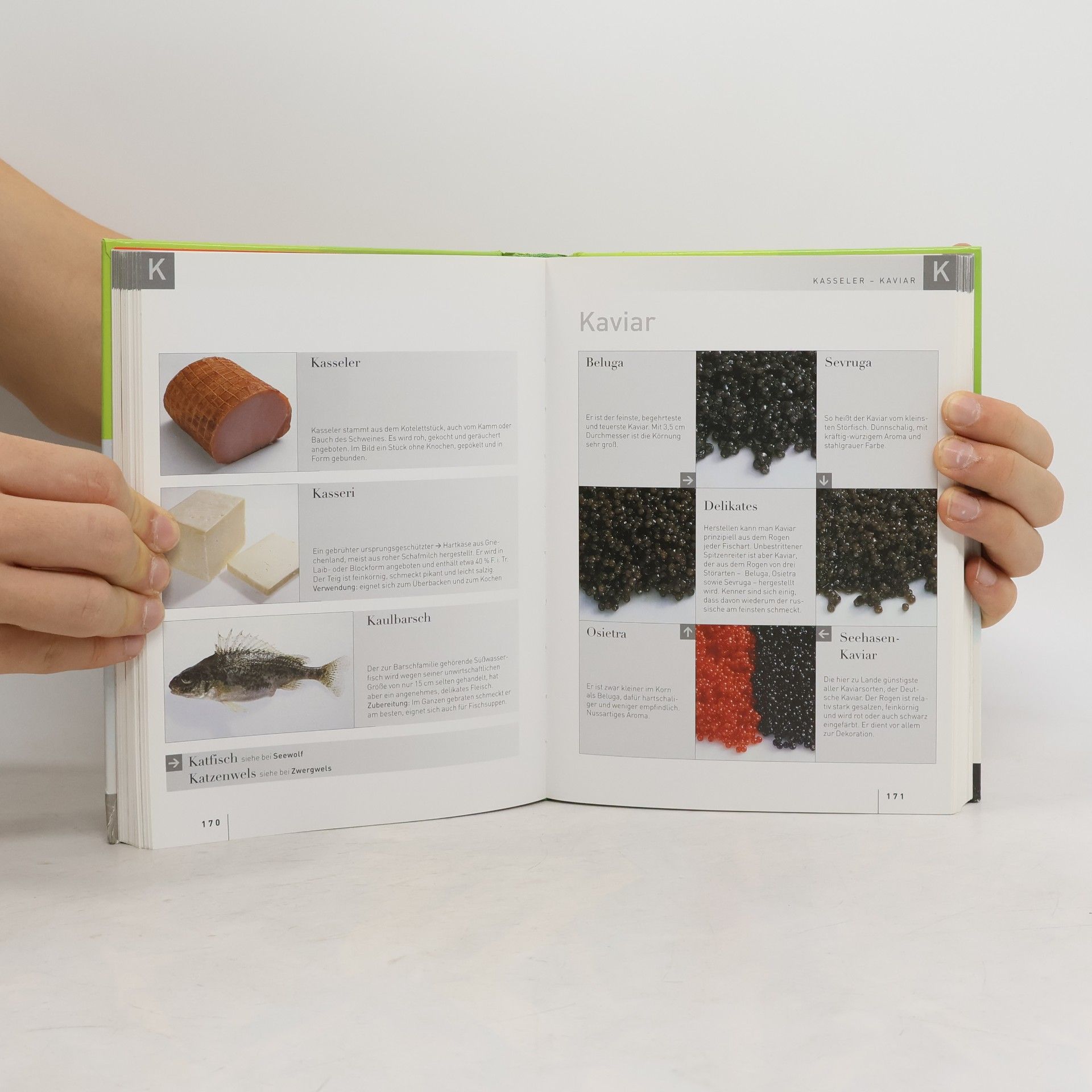 Claudia Schmidt Das Teubner-Food-Lexikon