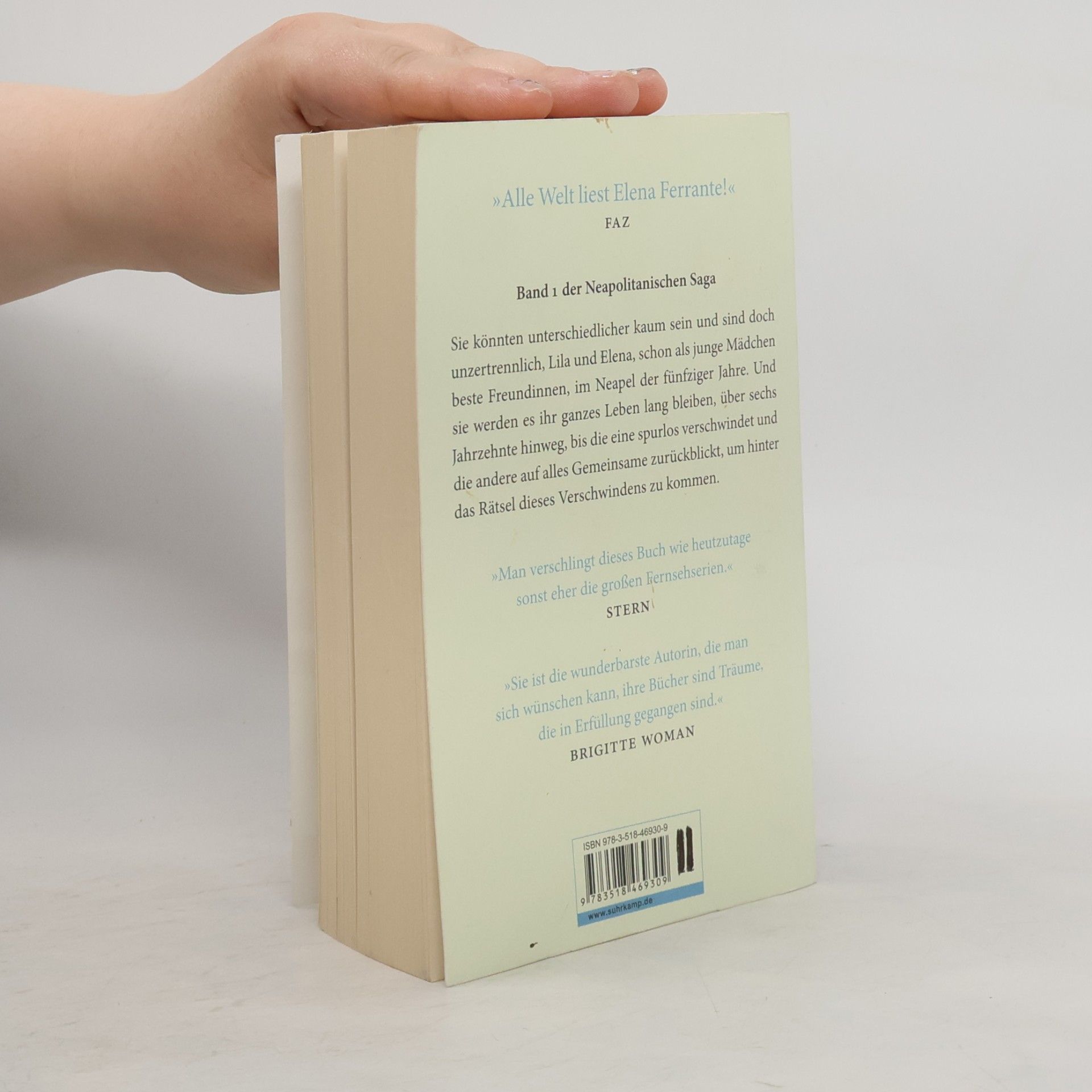 Elena Ferrante Meine geniale Freundin