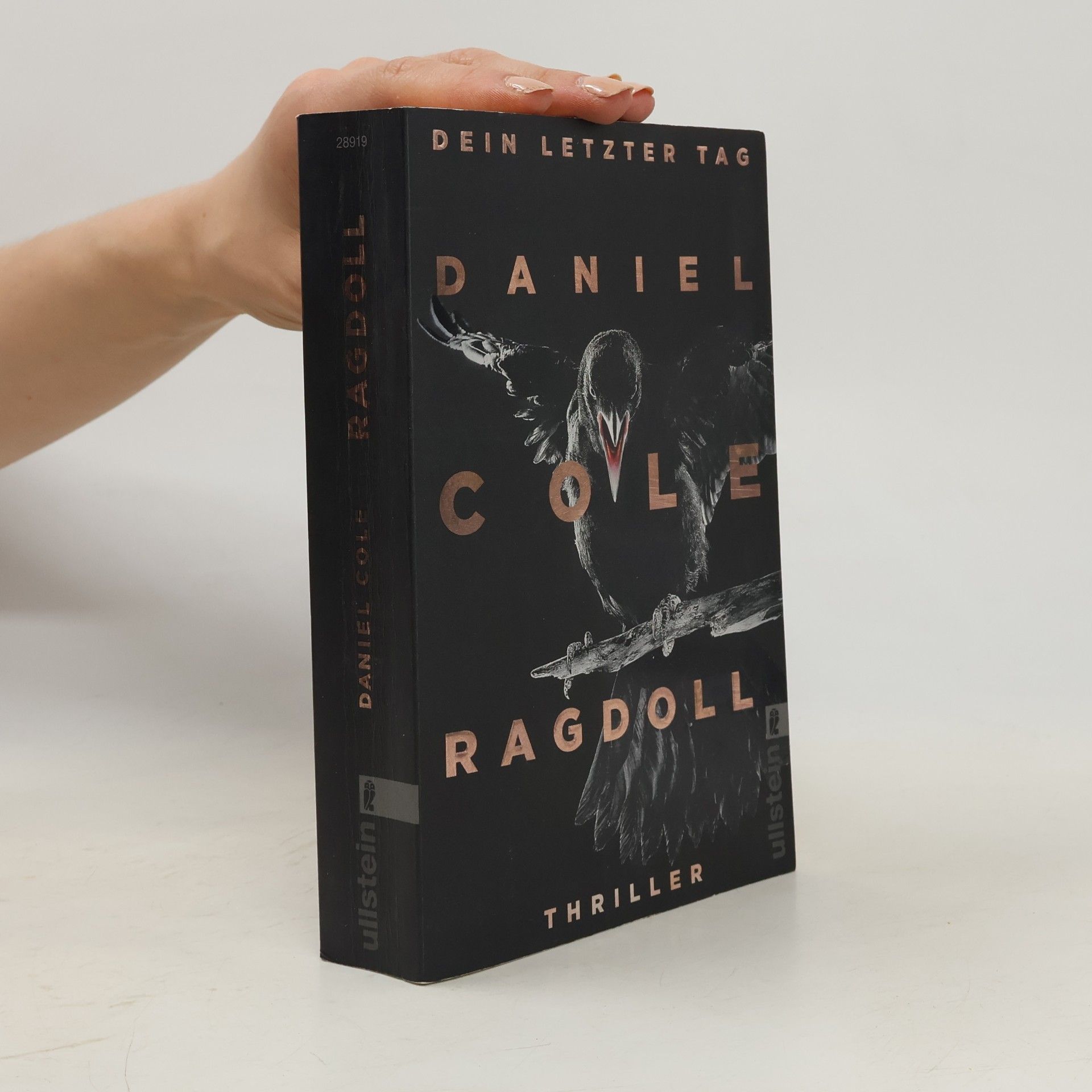 Daniel Cole Ragdoll