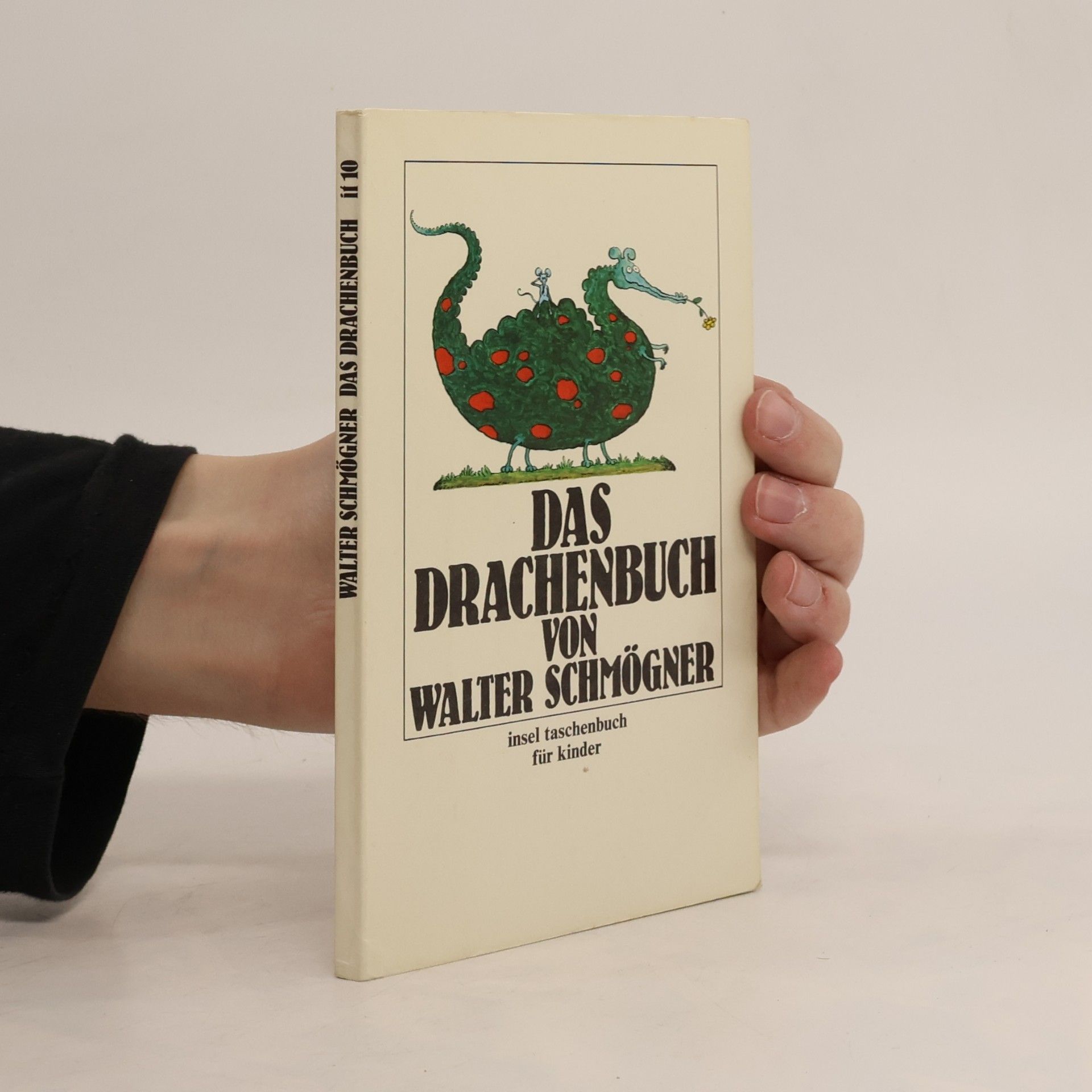 Walter Schmögner Das Drachenbuch