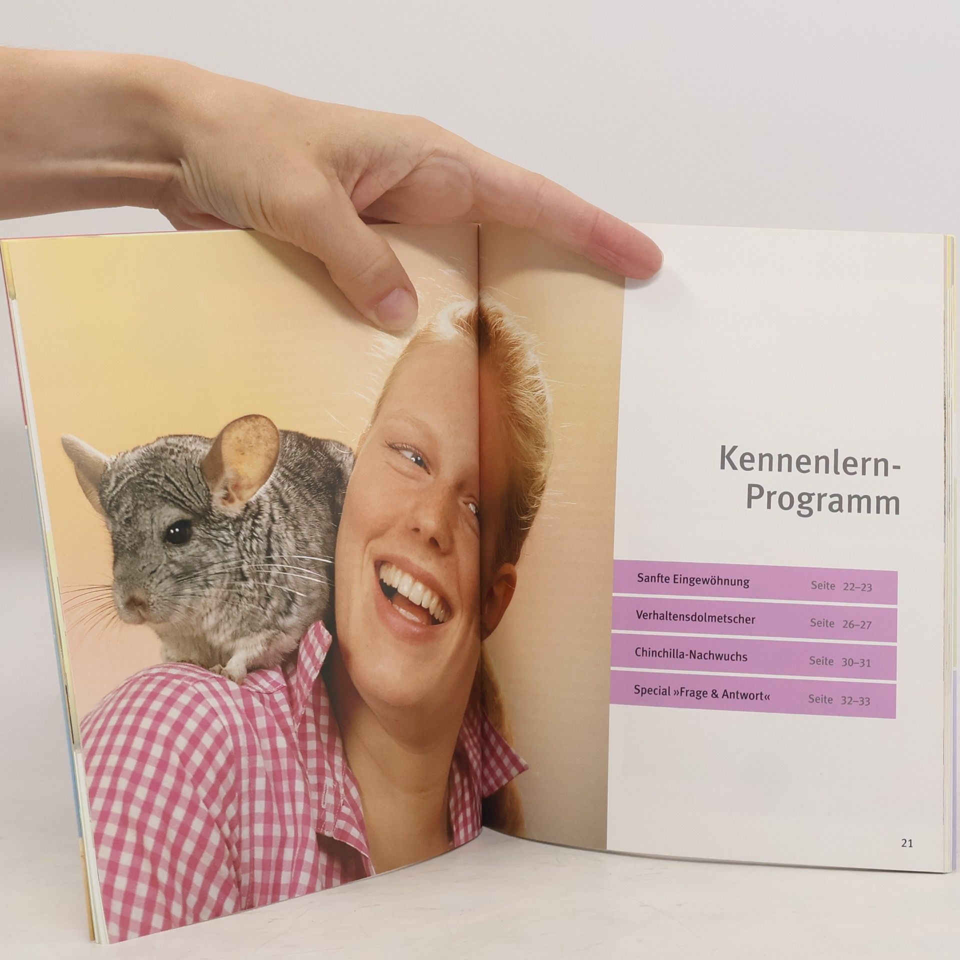 Maike RöderThiede Chinchillas