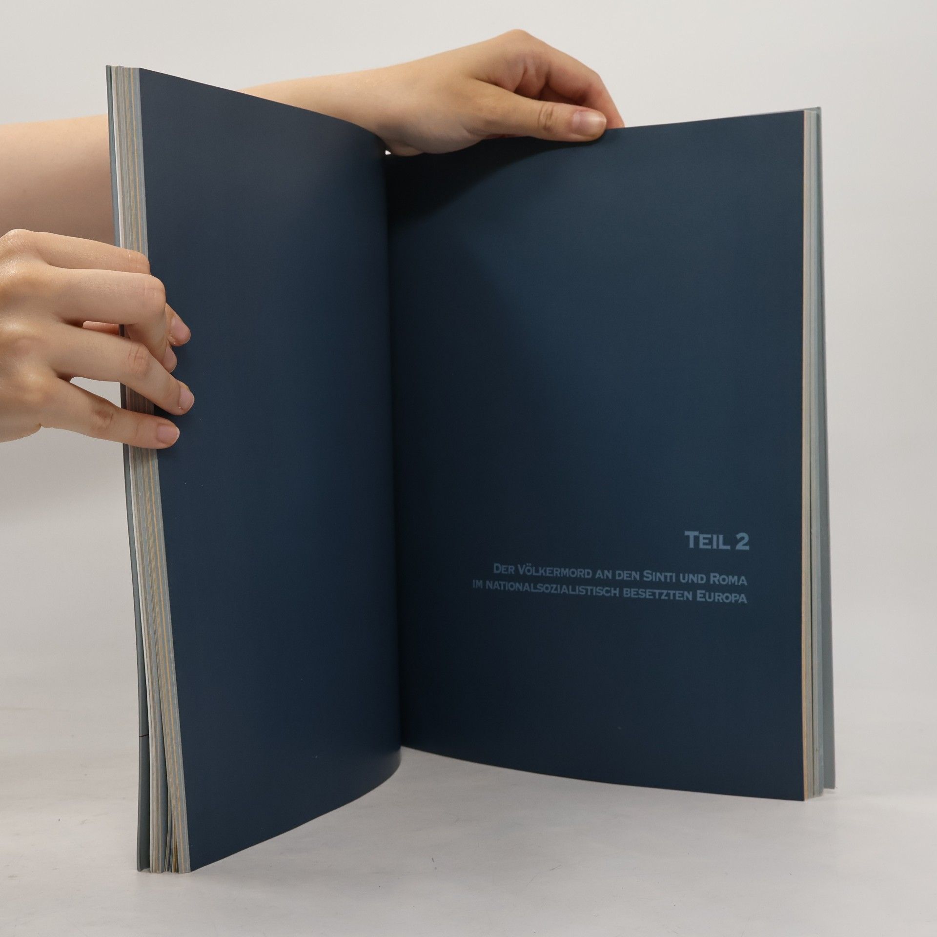 Various authors The National Socialist Genocide of the Sinti and Roma: Catalogue of the Permanent Exhibition in the State Museum of Auschwitz