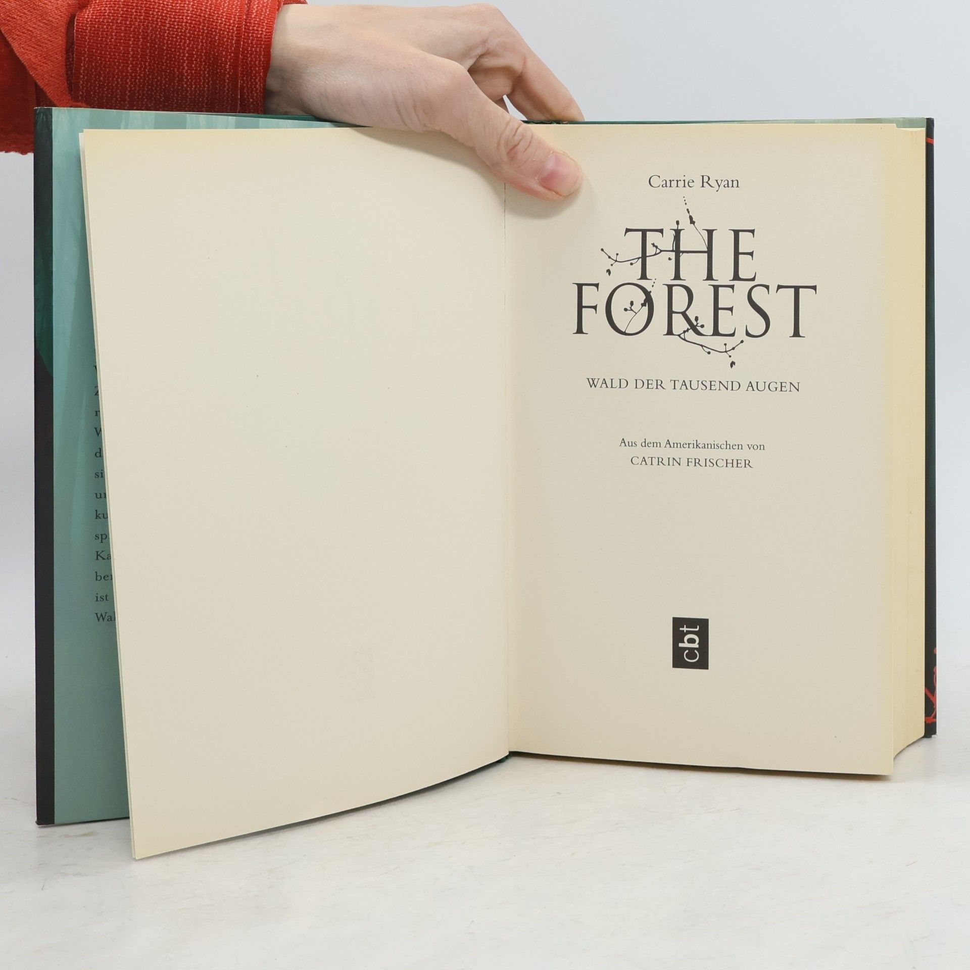 Carrie Ryan The forest