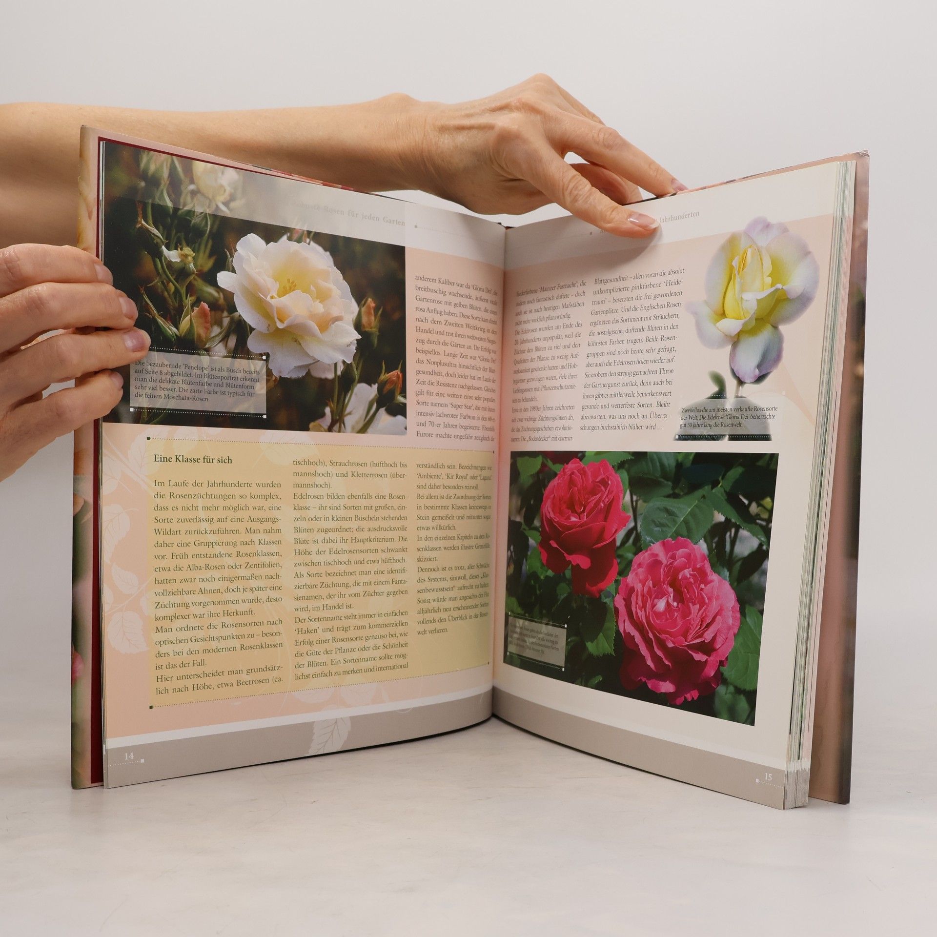 Andreas Barlage Robuste Rosen für jeden Garten