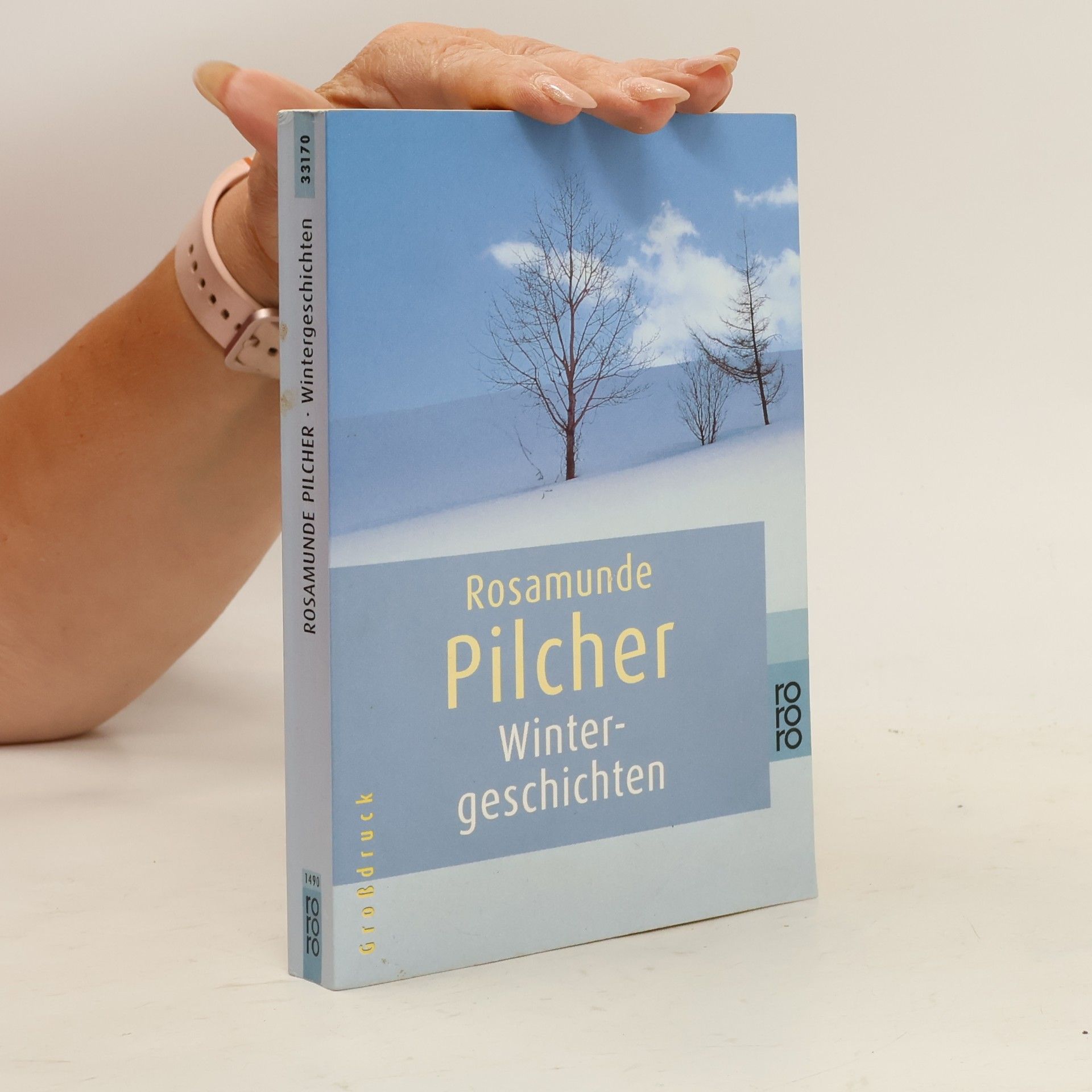 Rosamunde Pilcherová Wintergeschichten
