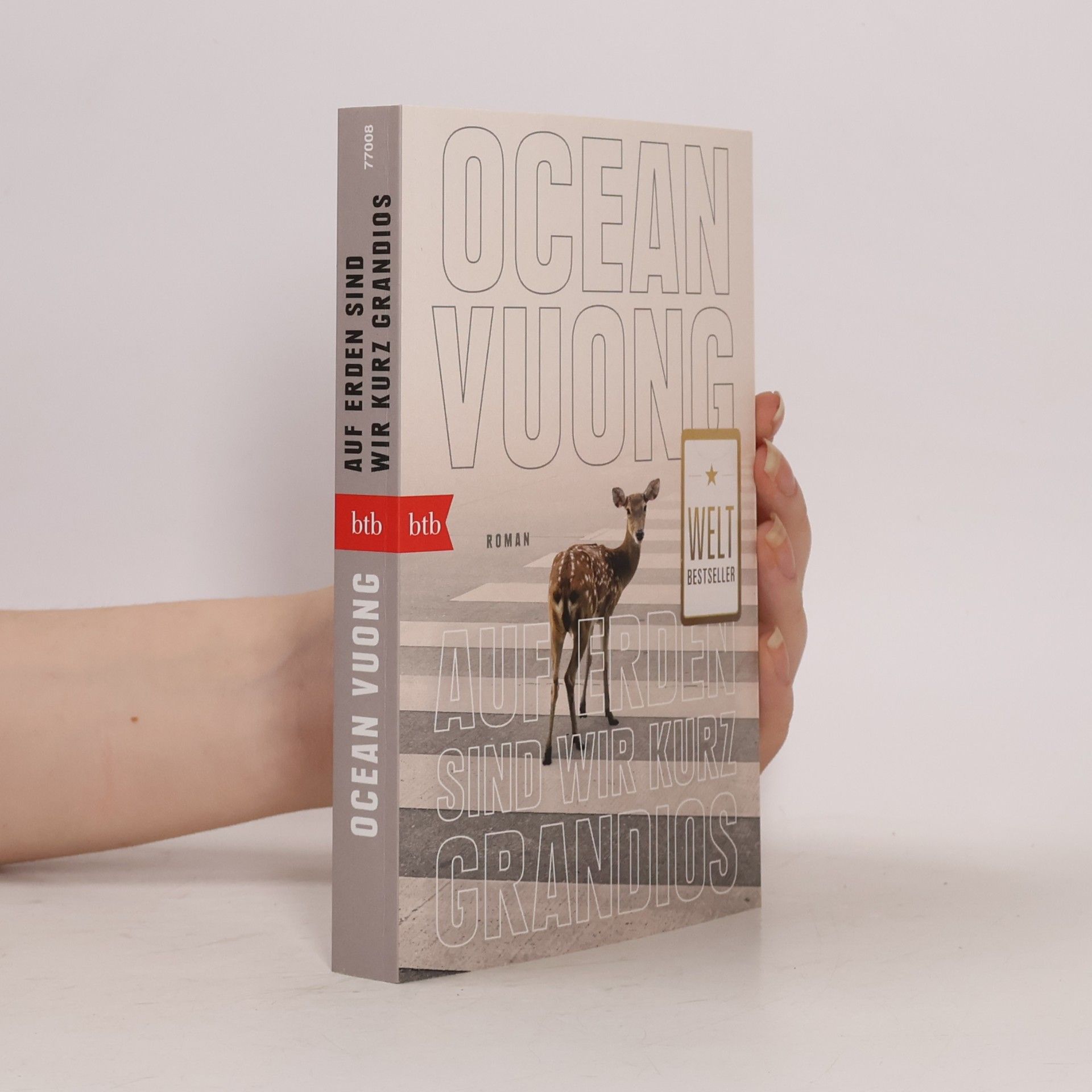 Ocean Vuong Auf Erden sind wir kurz grandios