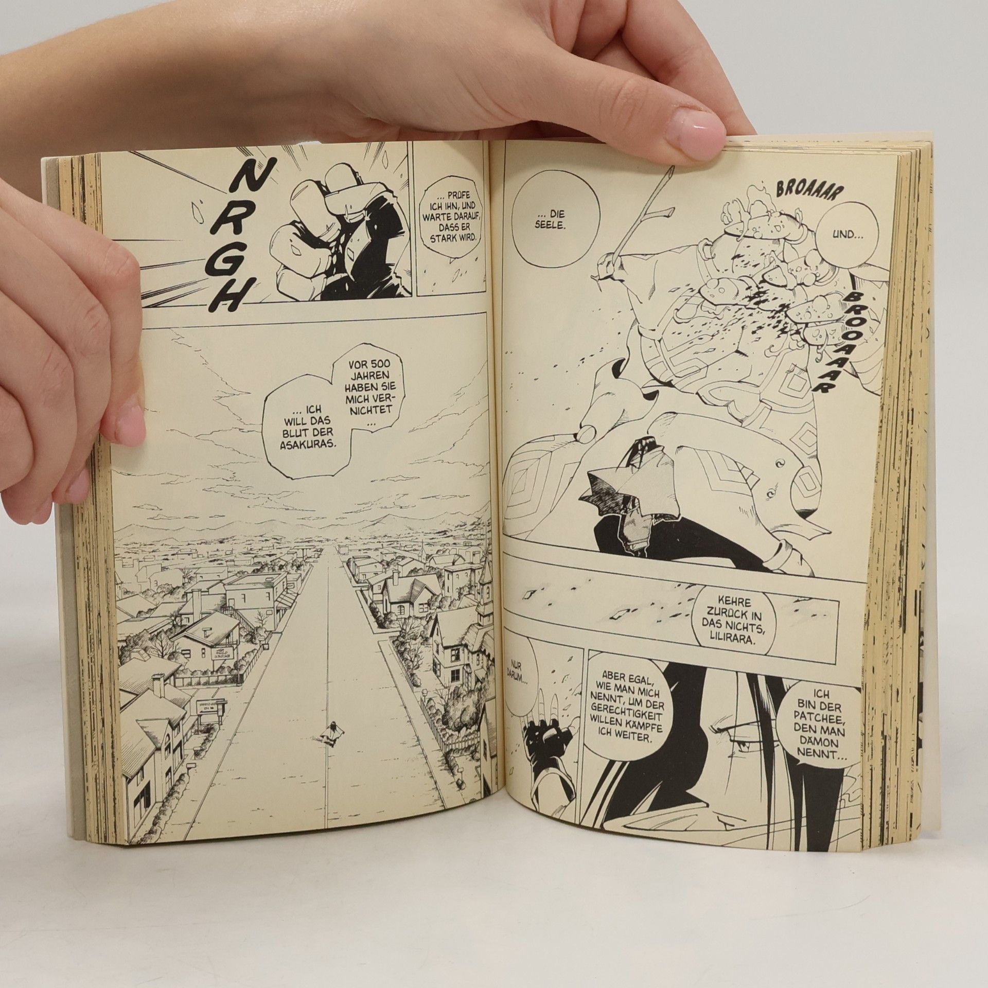 Hiroyuki Takei Shaman King 10