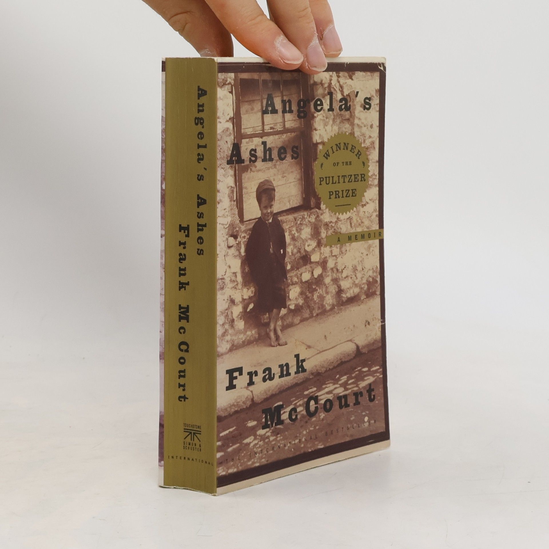 Frank McCourt Angela's Ashes
