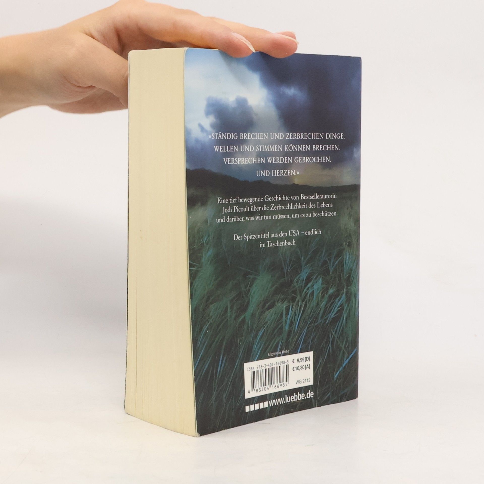 Jodi Picoult Zerbrechlich
