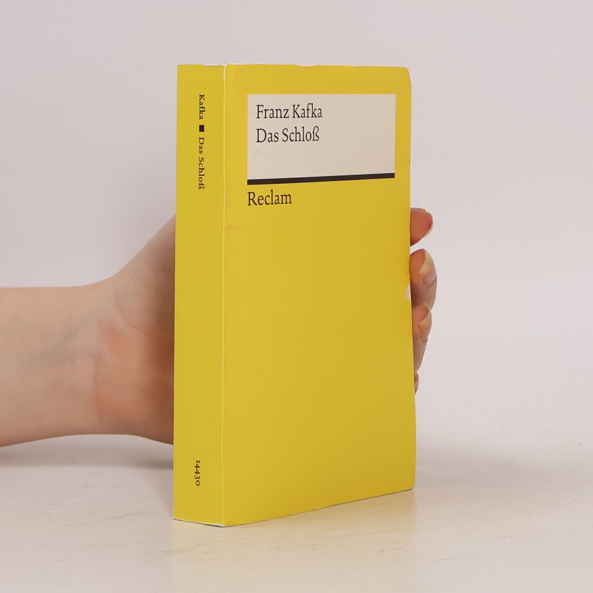 Franz Kafka Das Schloß