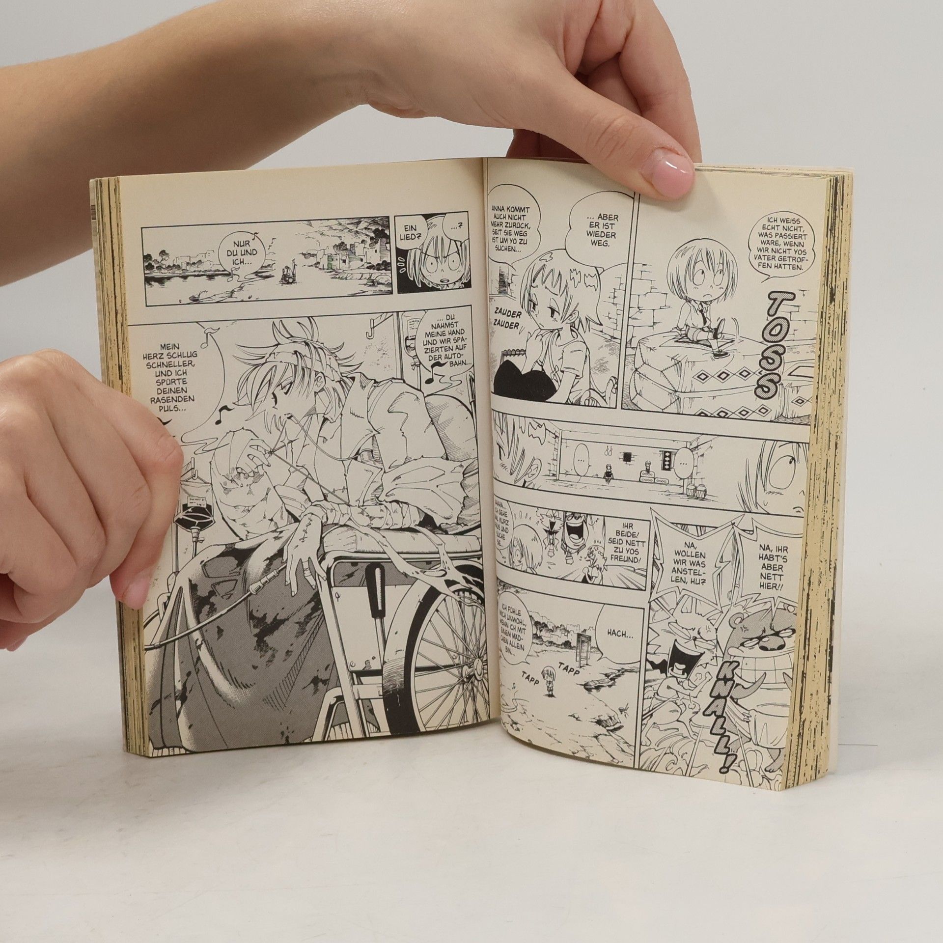 Takei Hiroyuki Shaman king 13