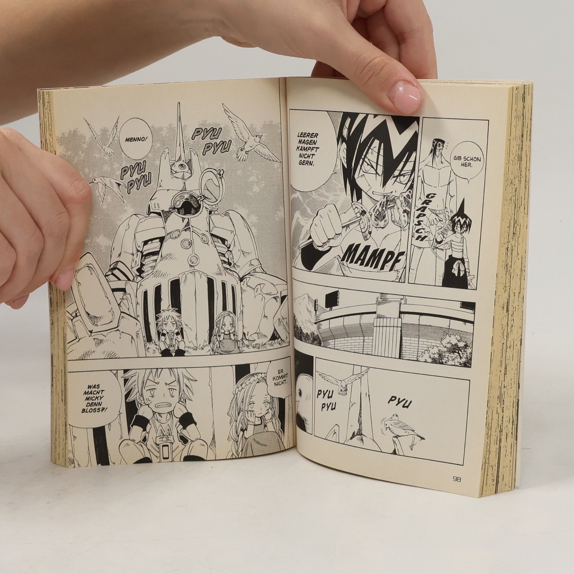 Takei Hiroyuki Shaman King 17. Band 17