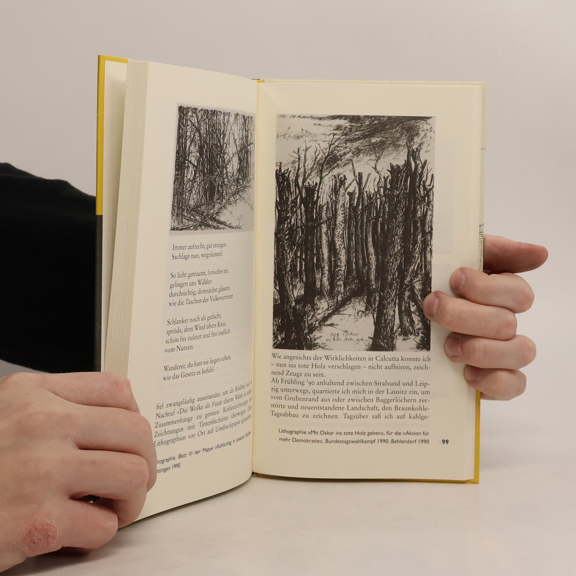 Günter Grass Fünf Jahrzehnte