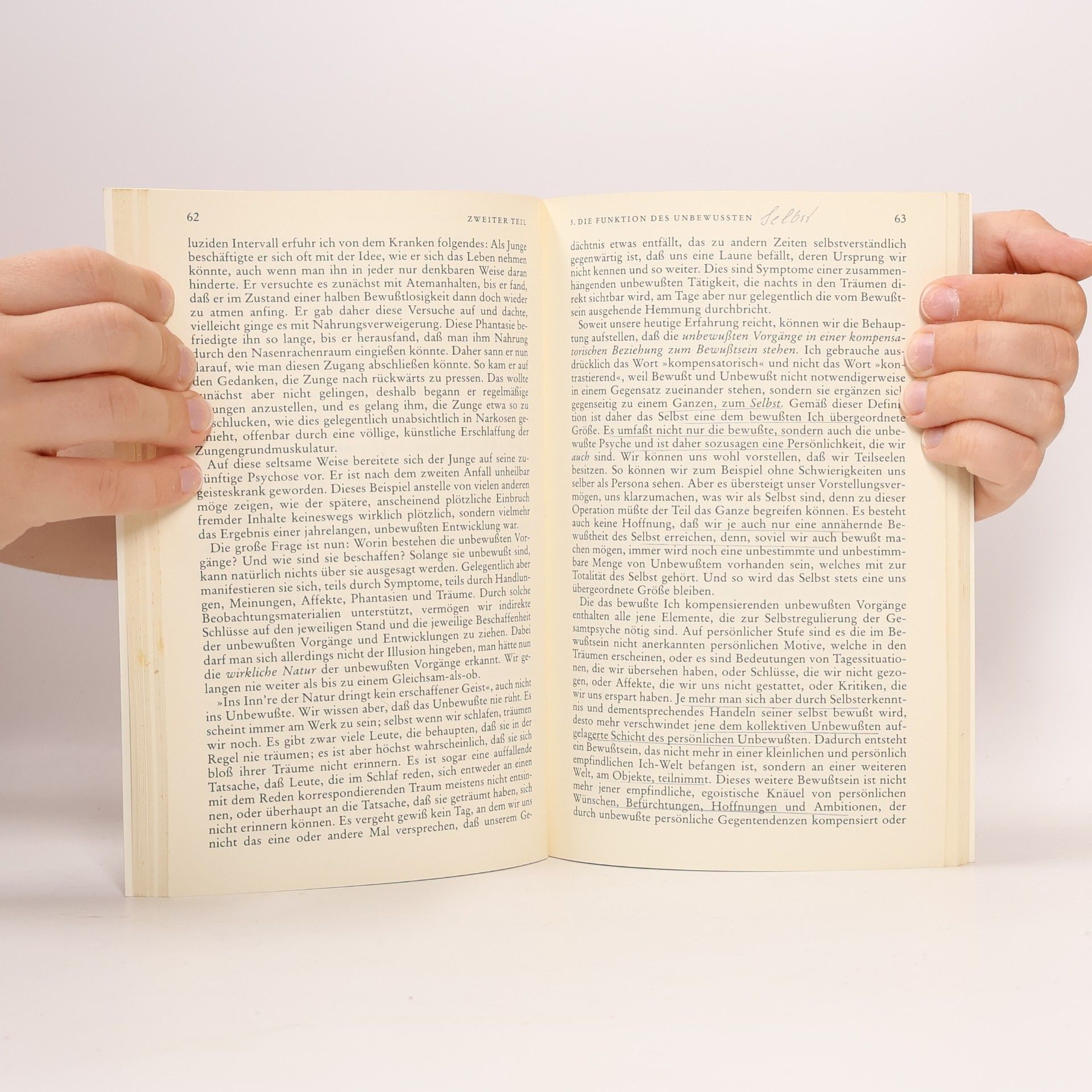 Carl Gustav Jung Die Beziehungen zwischen dem Ich und dem Unbewußten