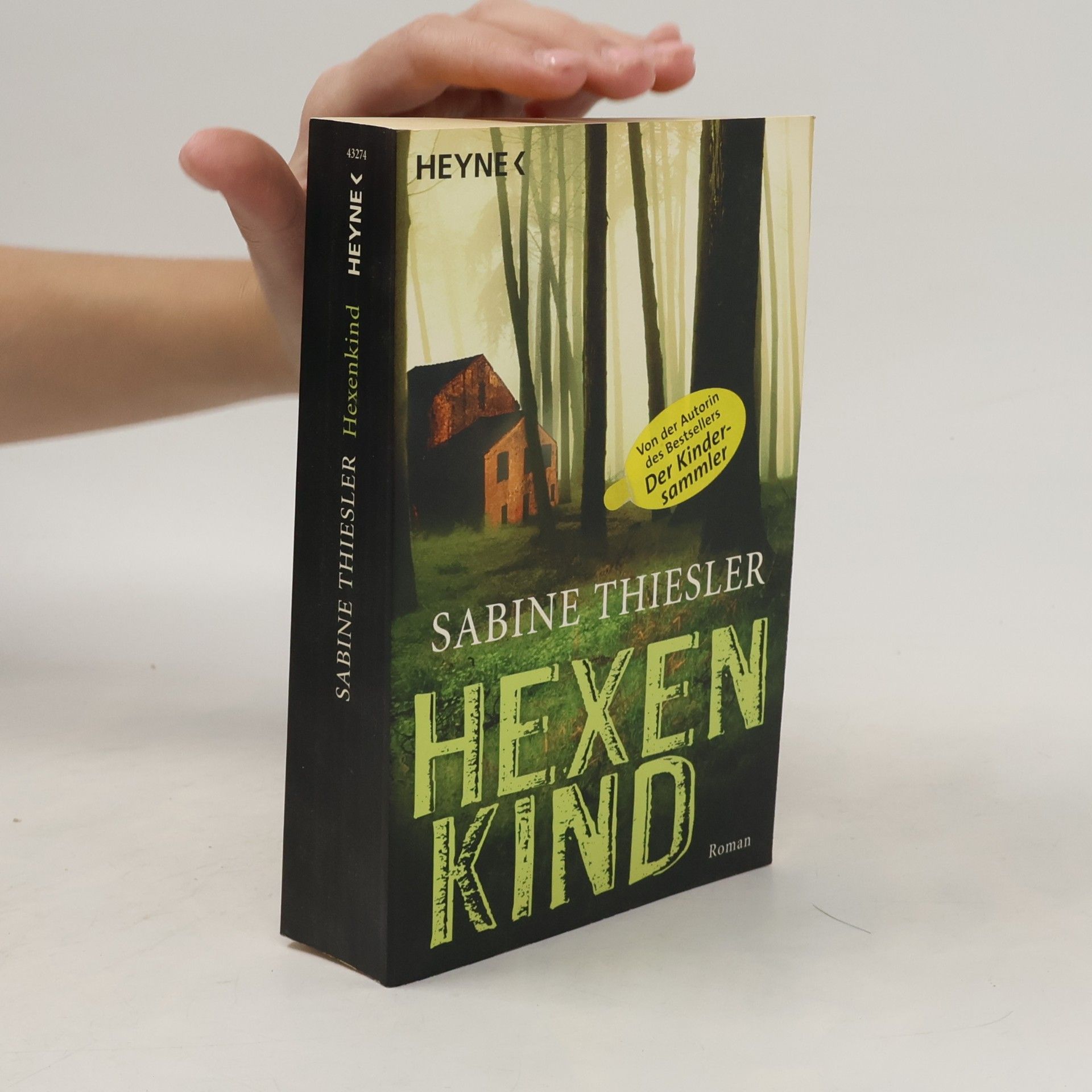 Sabine Thiesler Hexenkind - Roman