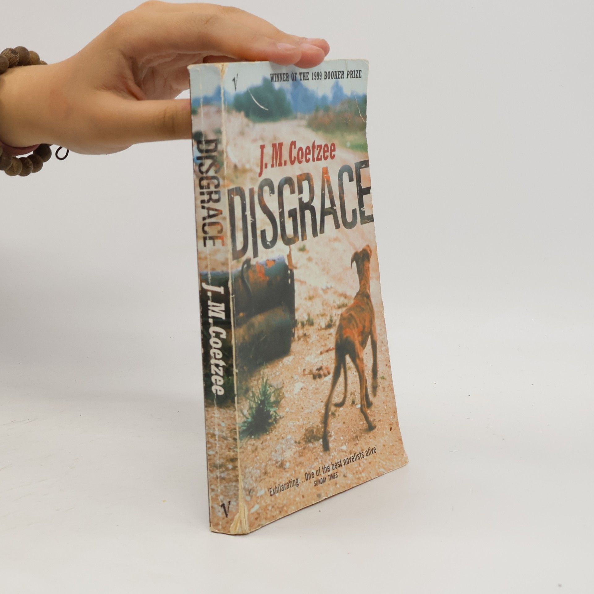 J. M. Coetzee Disgrace
