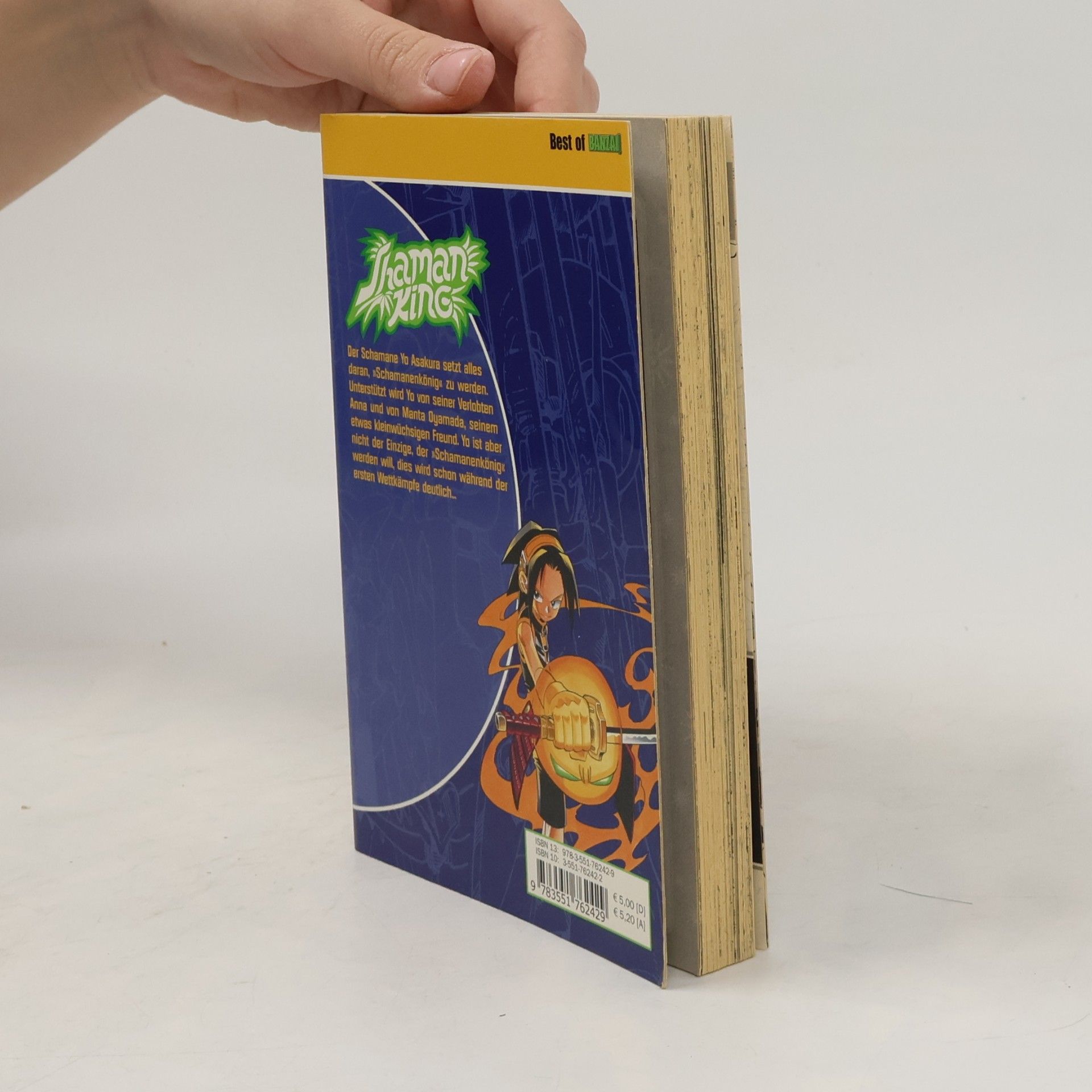 Hiroyuki Takei Shaman King 12