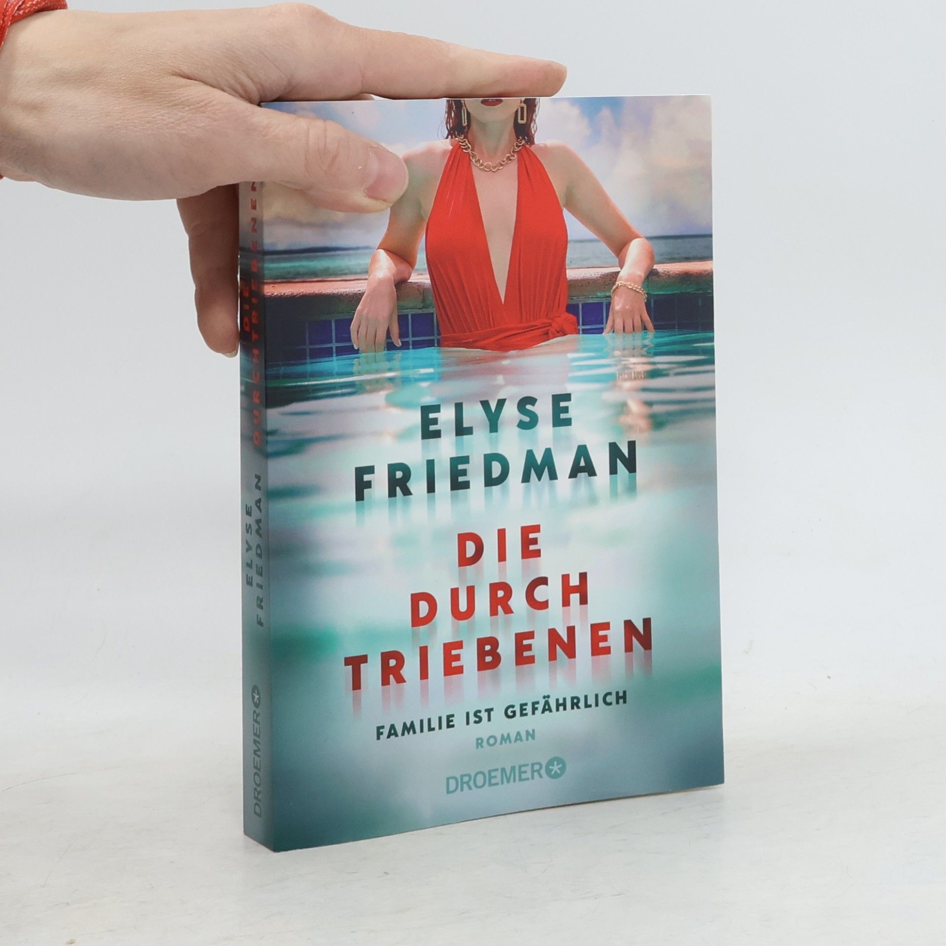Die Durchtriebenen: Familie ist gefährlich. Roman