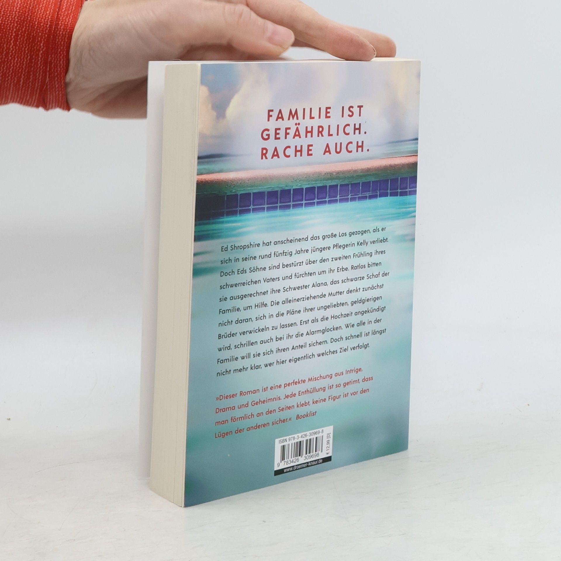 Elyse Friedman Die Durchtriebenen: Familie ist gefährlich. Roman