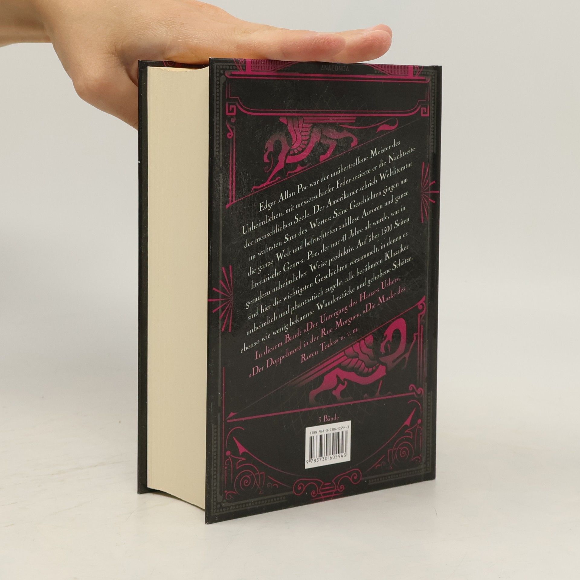 Edgar Allan Poe Unheimliche und phantastische Geschichten 2