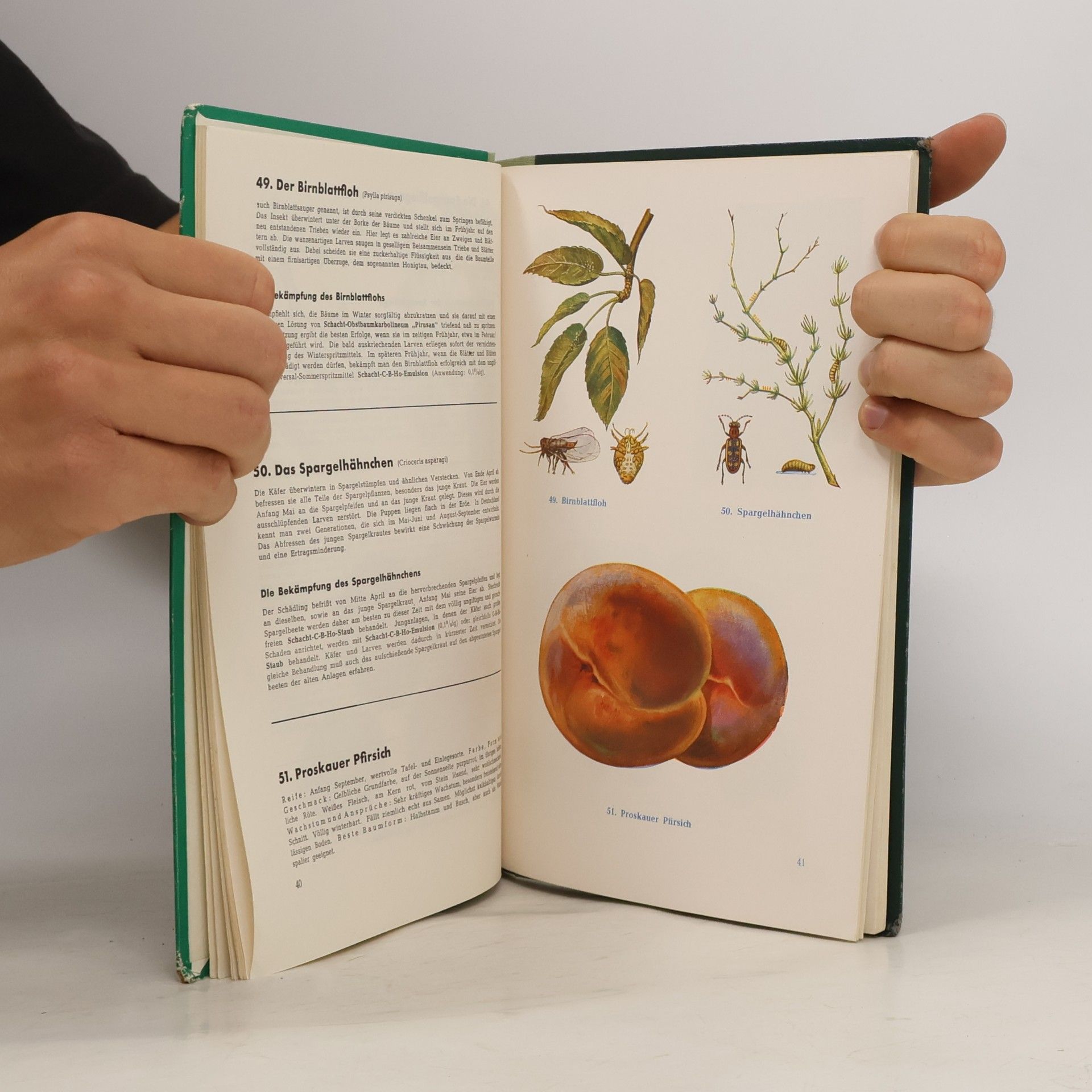 kolektiv Unsere Gartenschädlinge