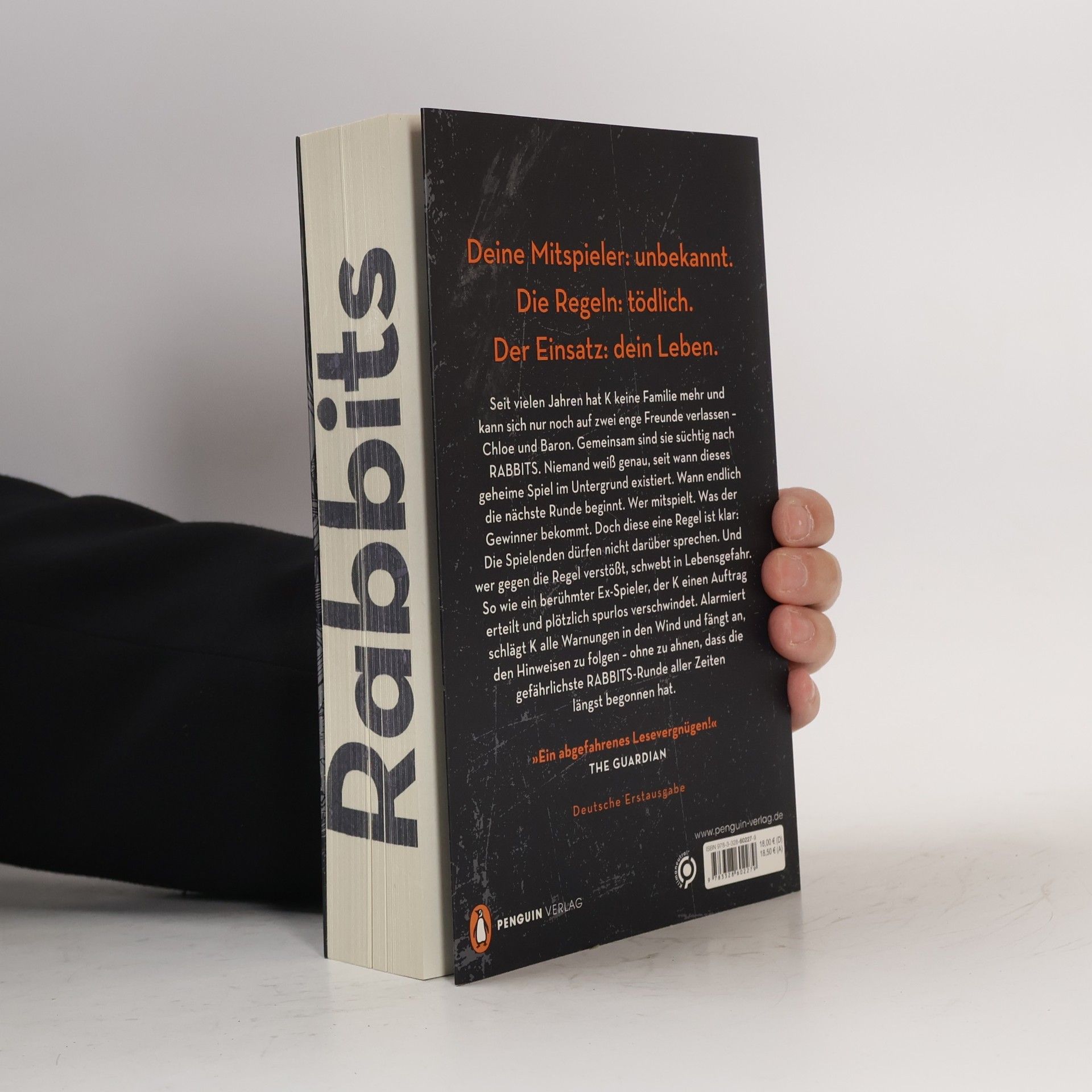 Terry Miles Rabbits - Spiel um dein Leben