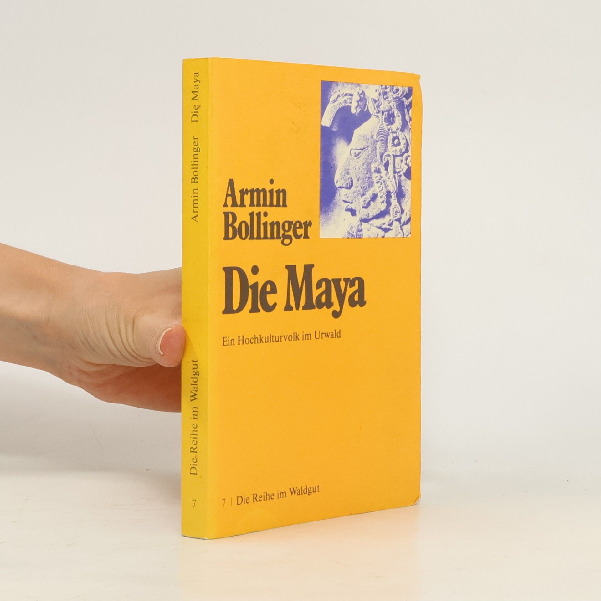 Armin Bollinger Die Maya