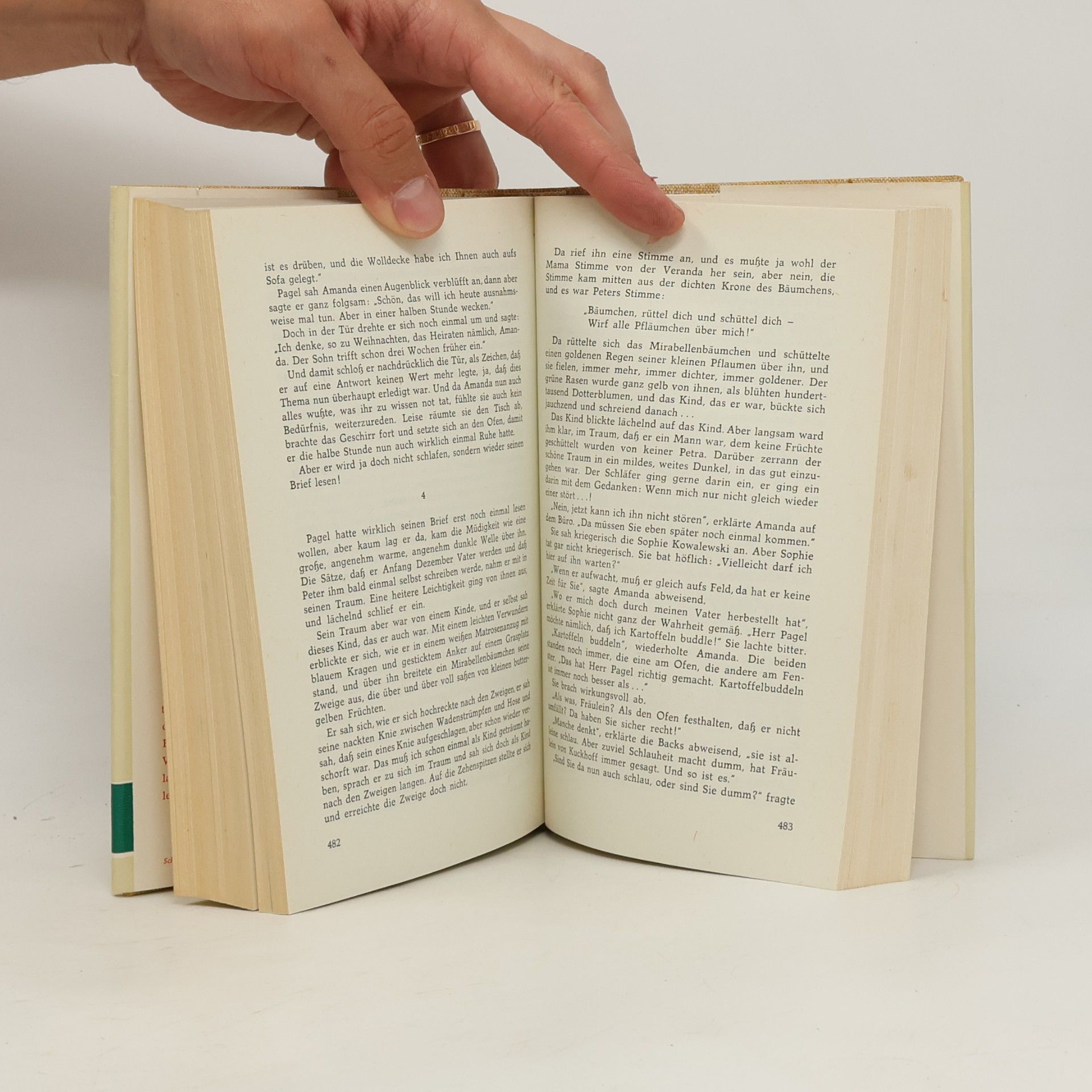 Hans Fallada Wolf unter Wölfen I. Die Stadt und ihre Ruhelosen