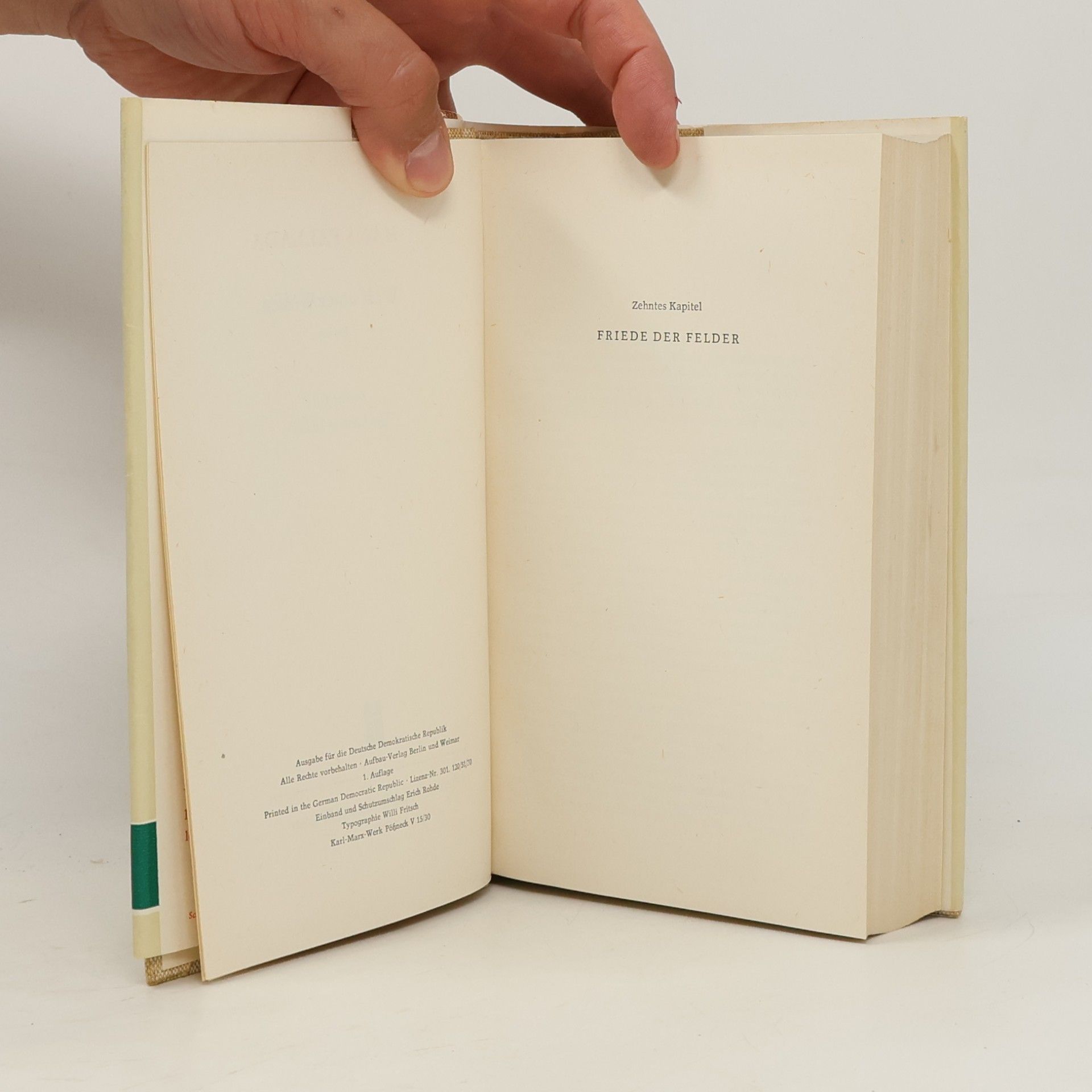 Hans Fallada Wolf unter Wölfen I. Die Stadt und ihre Ruhelosen