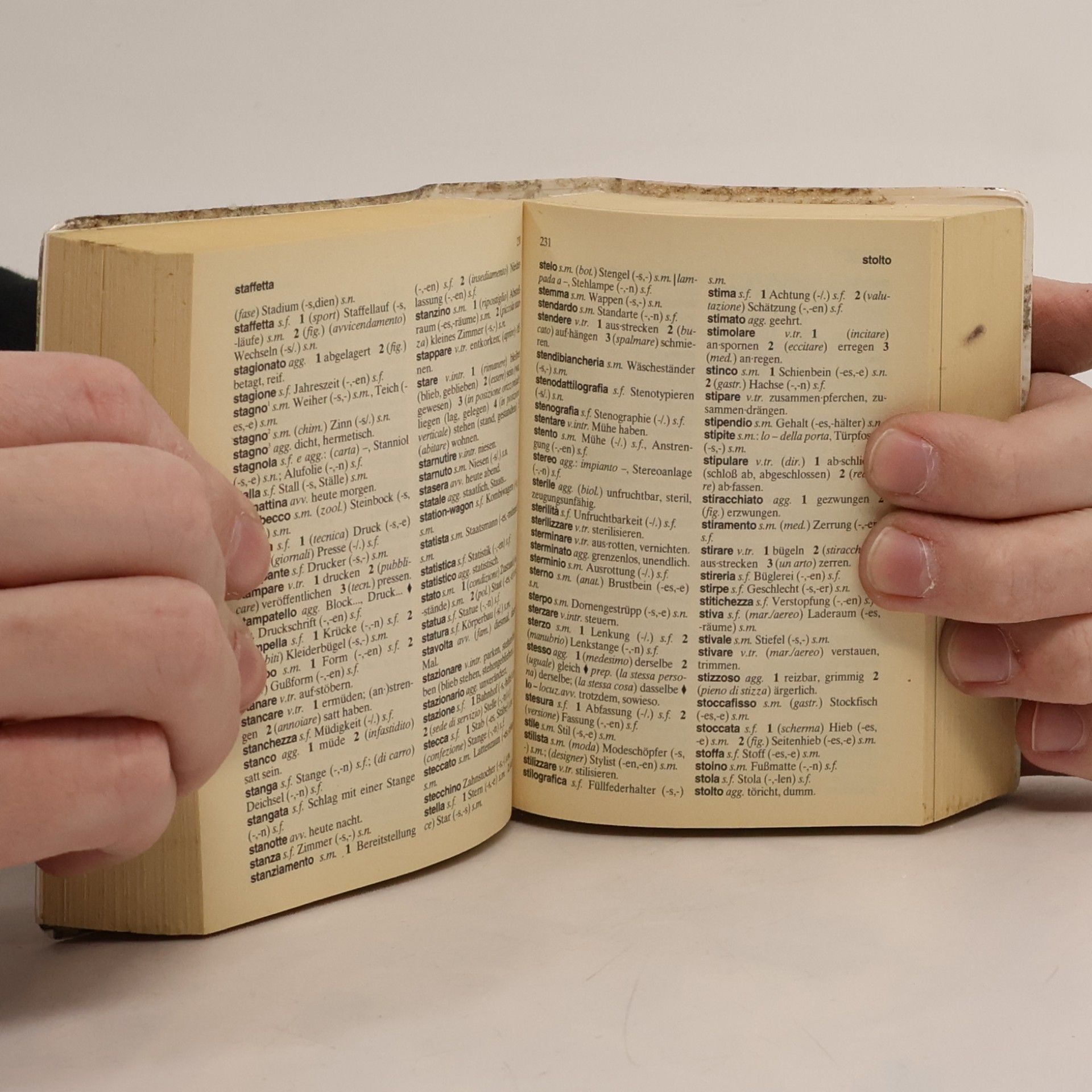 Autorenkollektiv Dizionario tedesco: Italiano-tedesco, tedesco-italiano