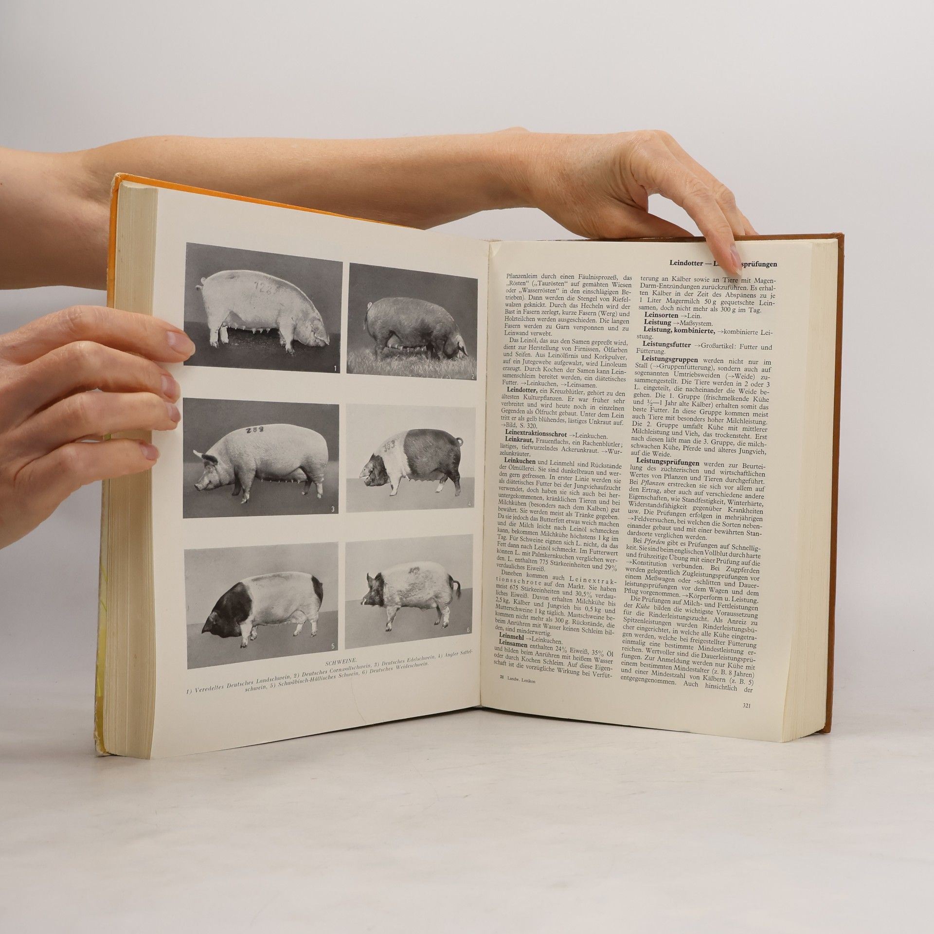 Autores varios Lexikon des Landwirtes