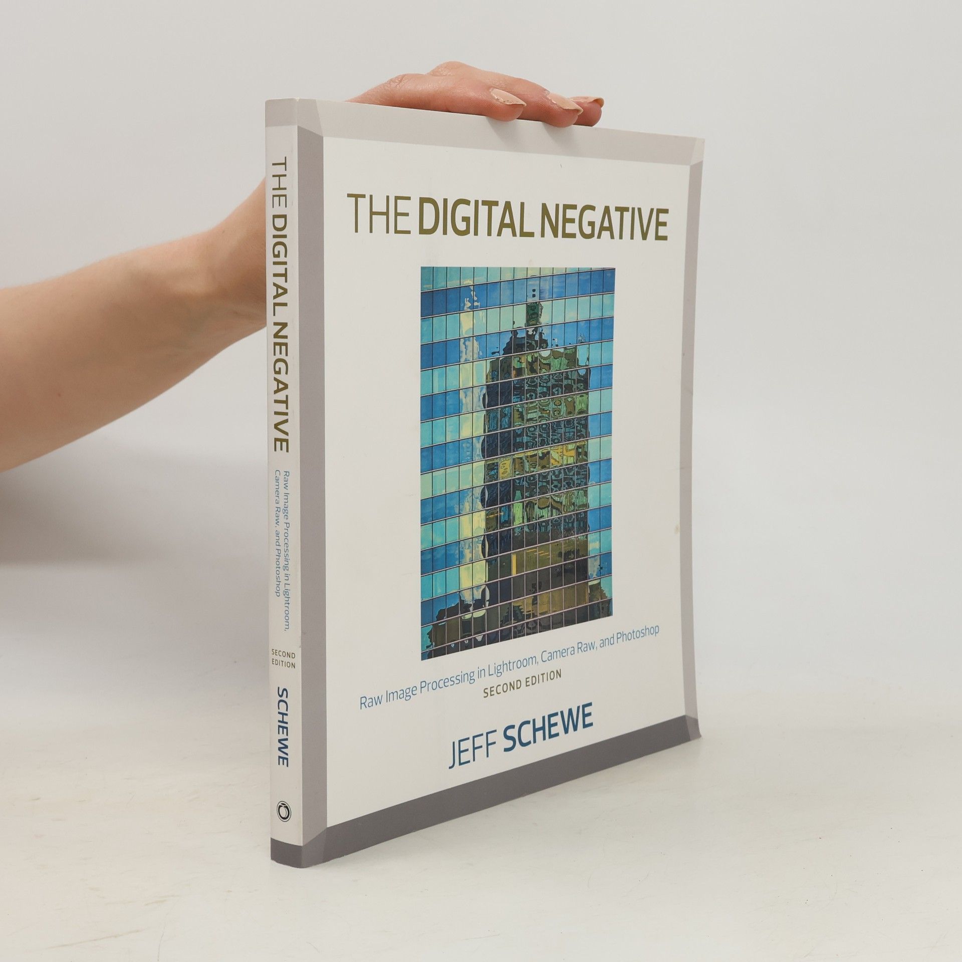 Jeff Schewe The Digital Negative