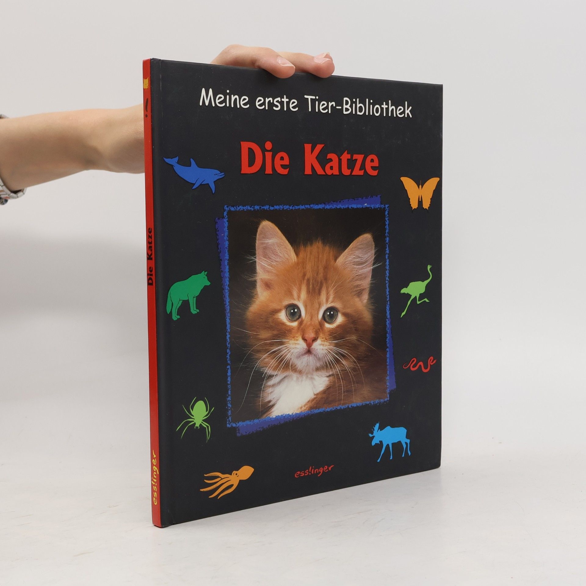 Meine erste Tier-Bibliothek: Die Katze