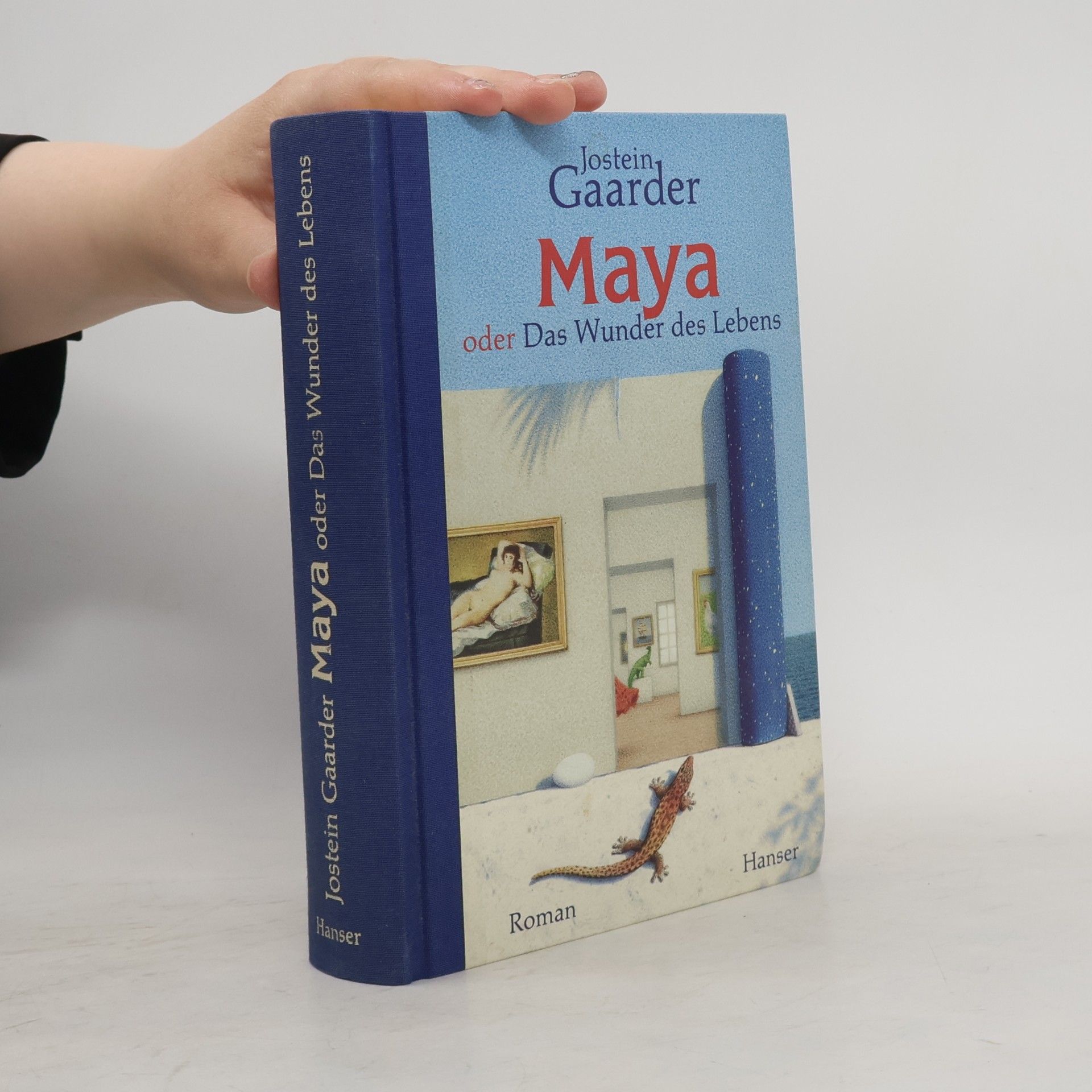 Jostein Gaarder Maya oder Das Wunder des Lebens