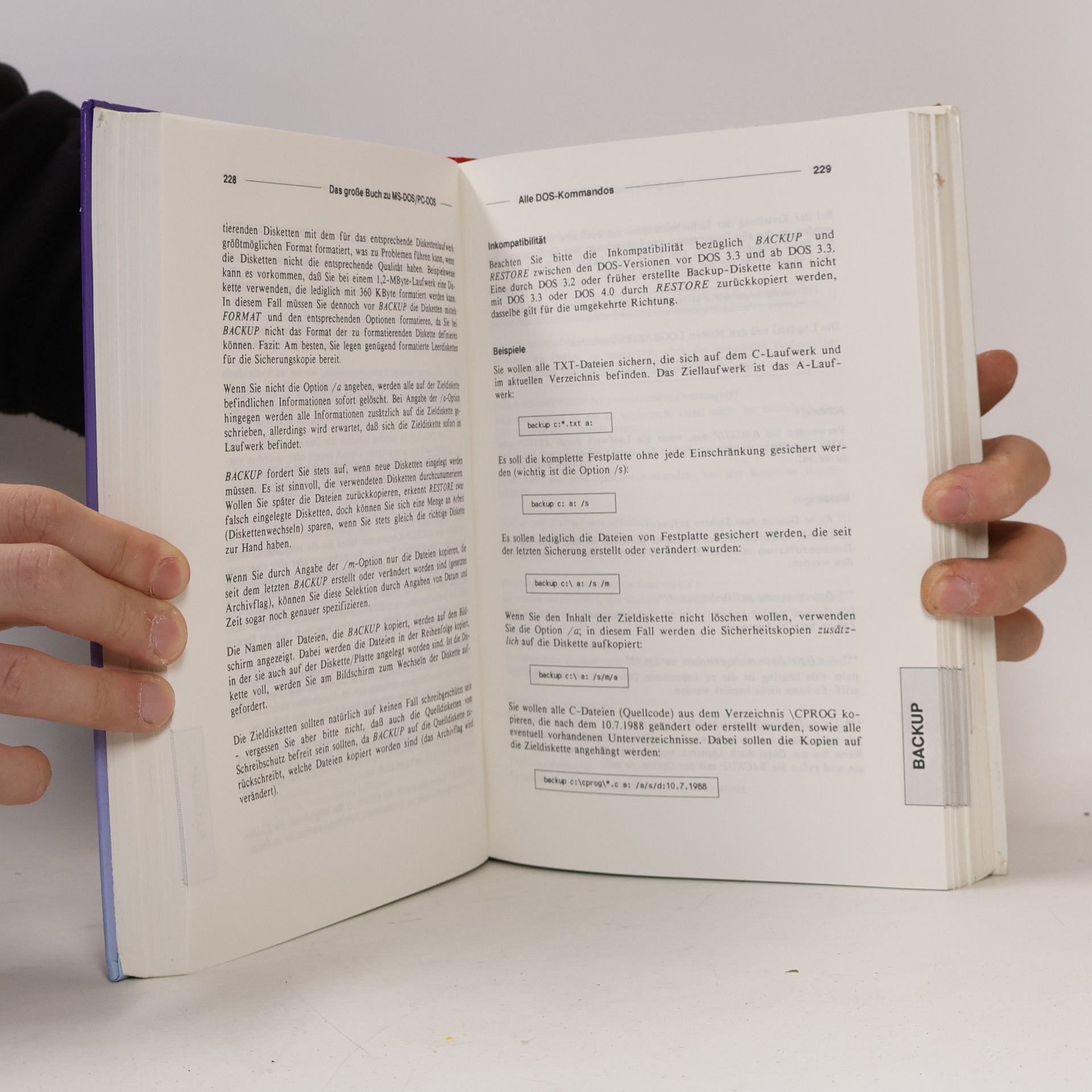 Jörg Schieb Das grosse Buch zu MS-DOS, PC-DOS