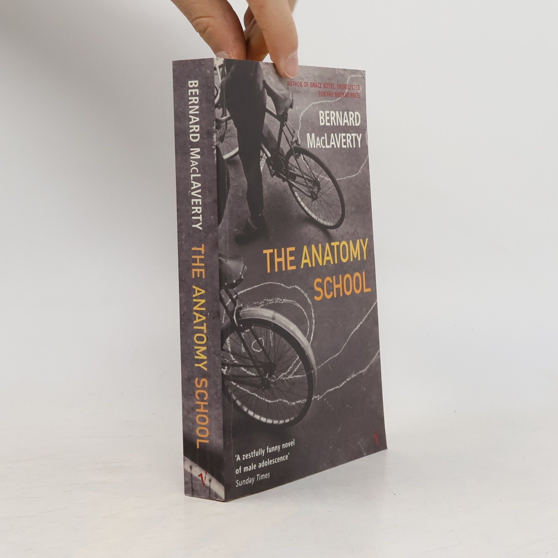The anatomy school