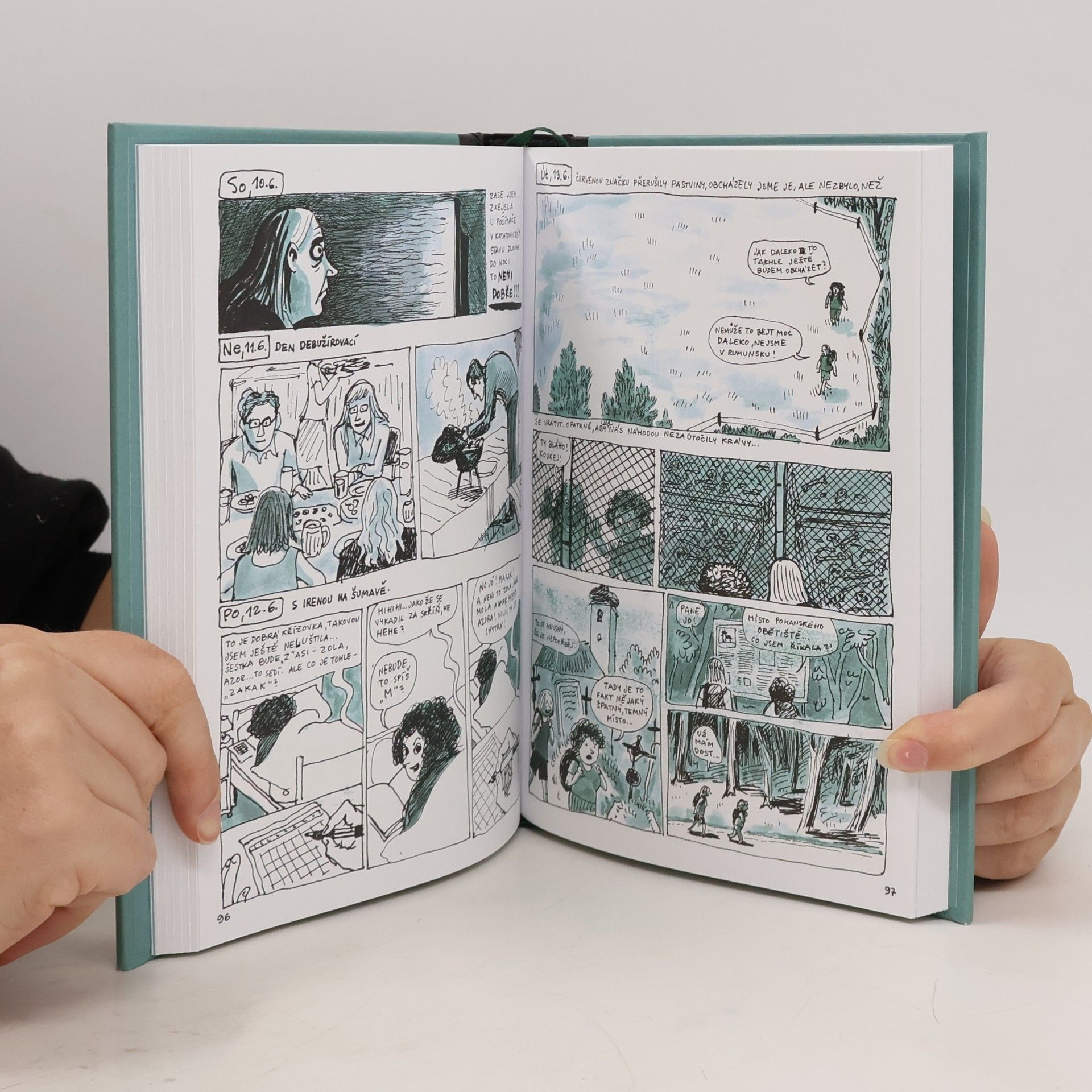 Lucie Lomová Každý den je nový : komiksový deník