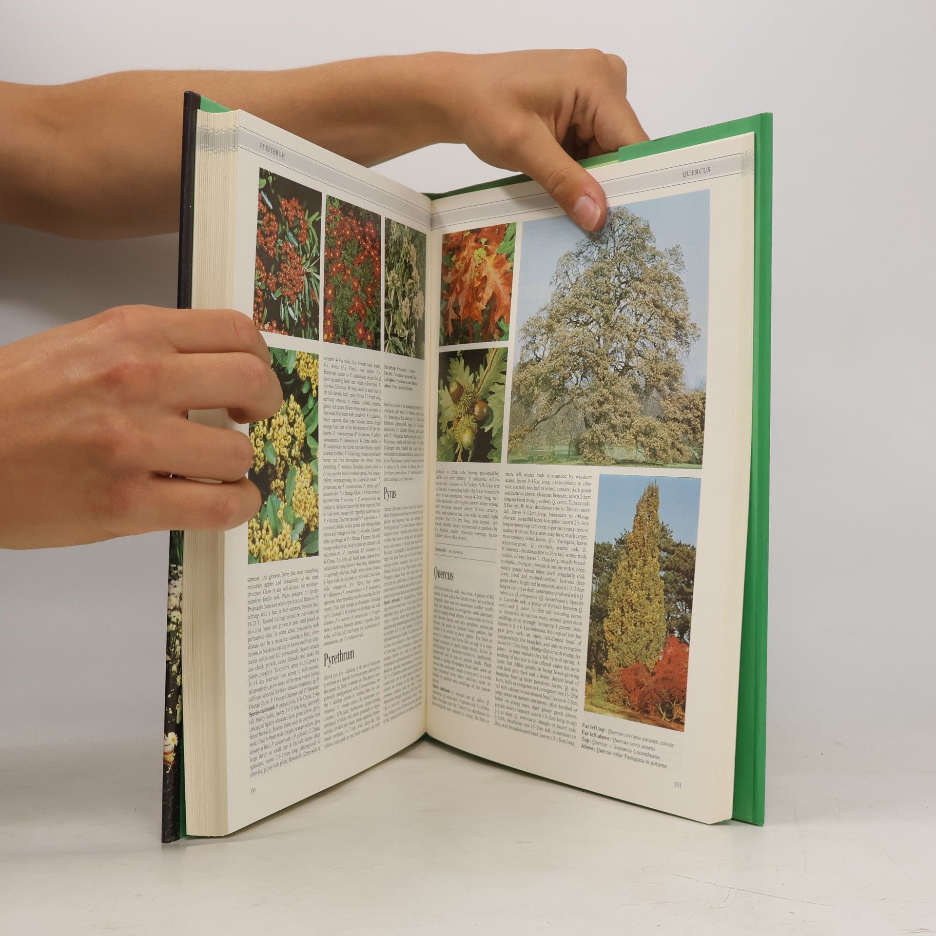 Kenneth A. Beckett The Concise Encyclopedia of Garden Plants