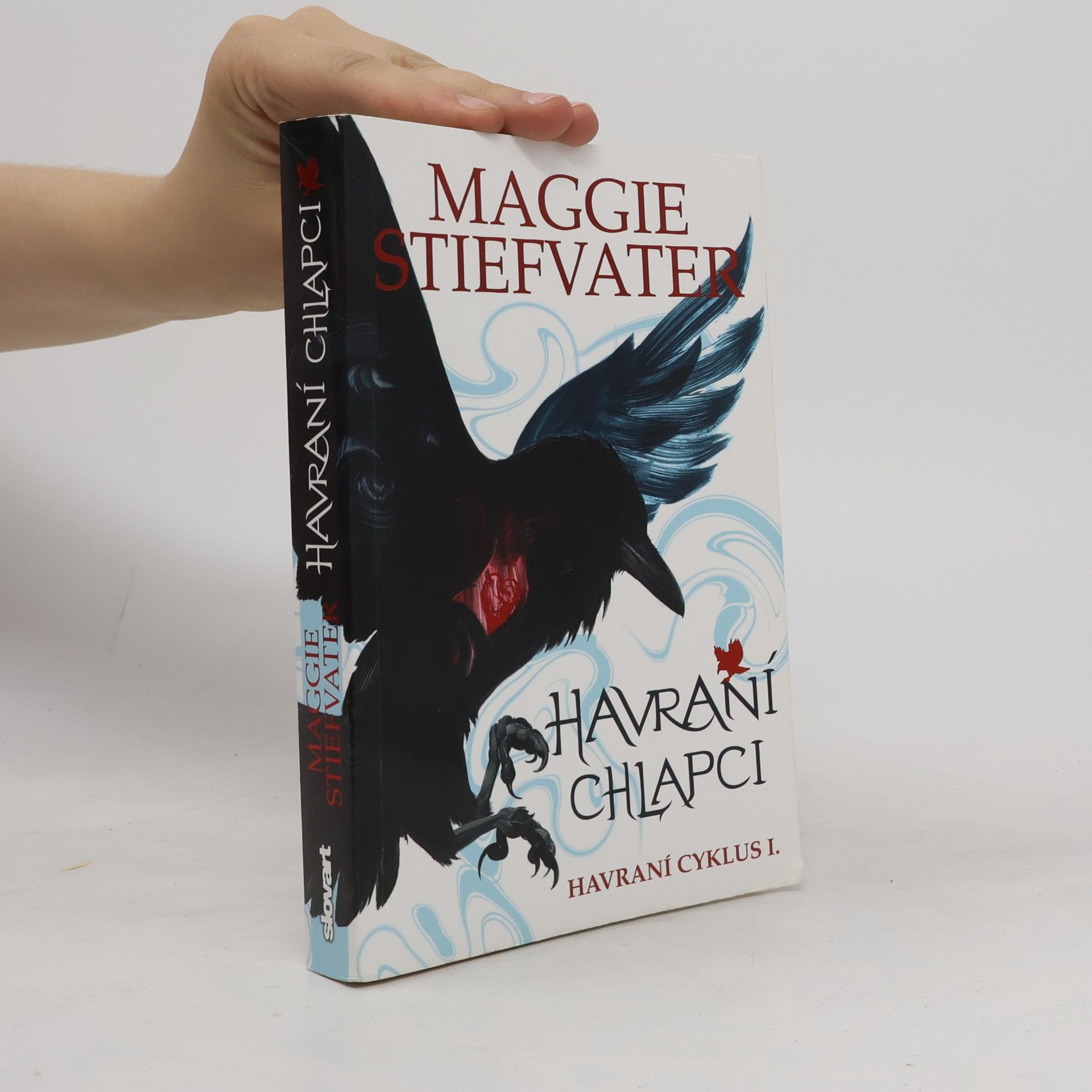 Maggie Stiefvater Havraní chlapci