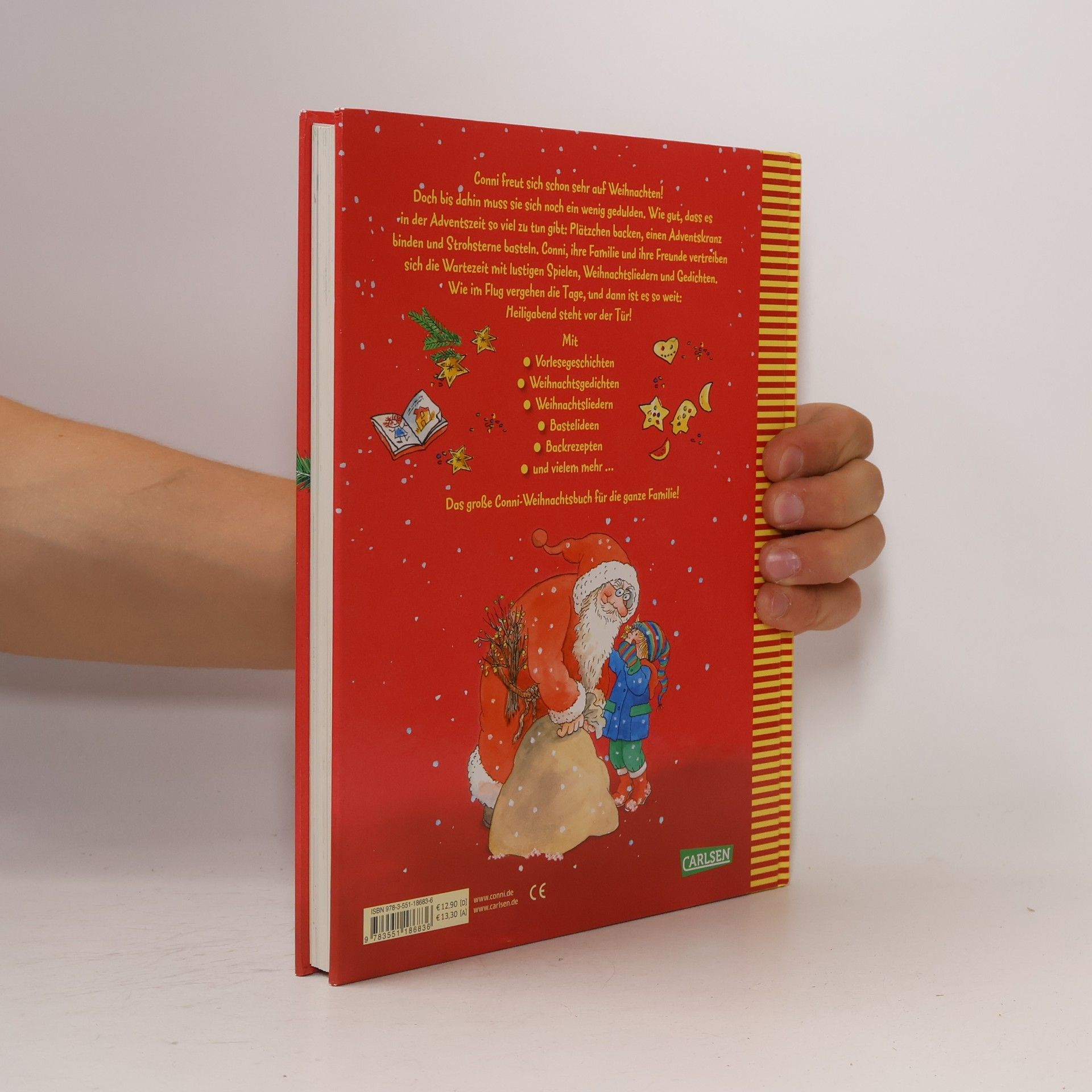 Liane Schneider Das große Conni-Weihnachtsbuch