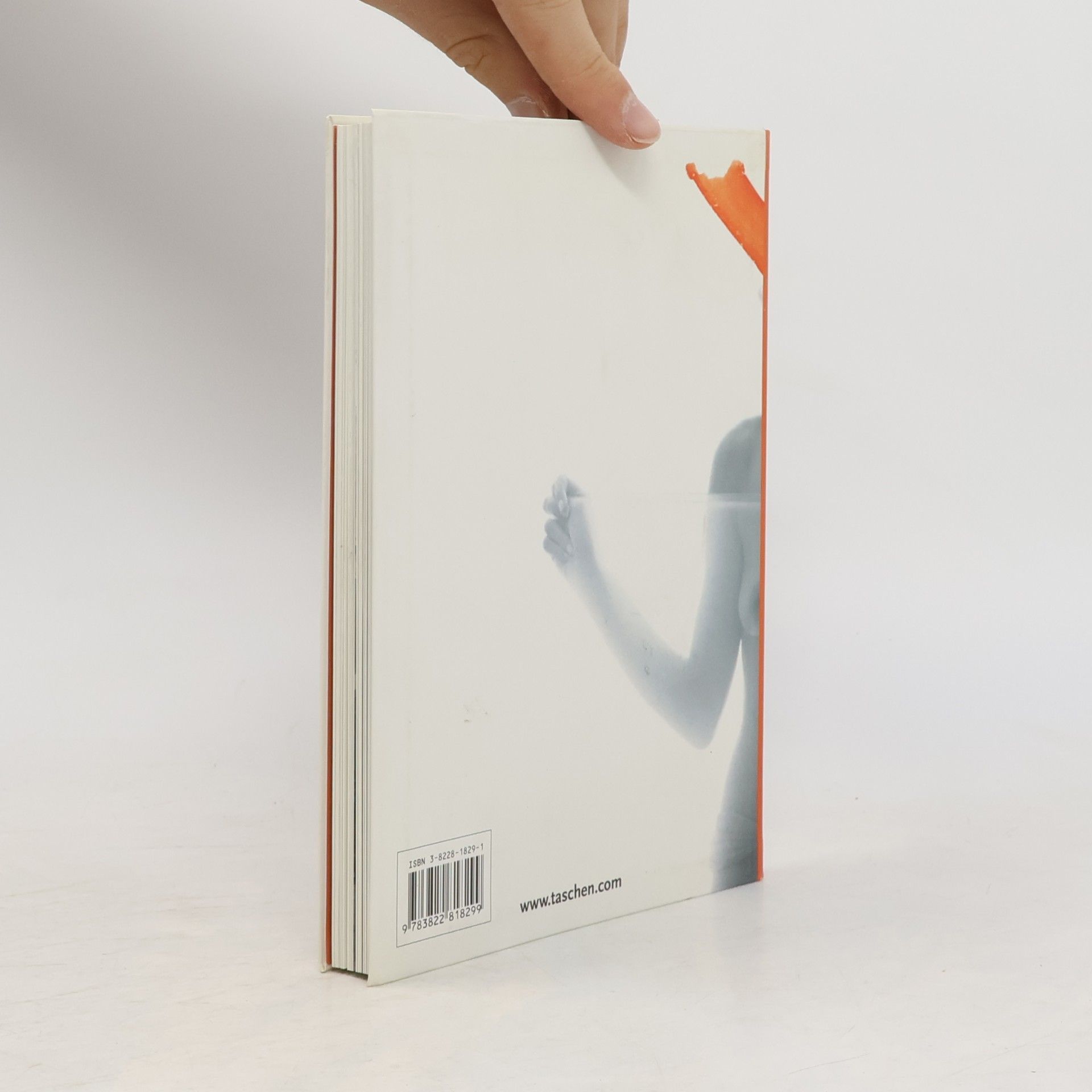 Hans Michael Koetzle Photo Icons 2. Die Geschichte hinter den Bildern