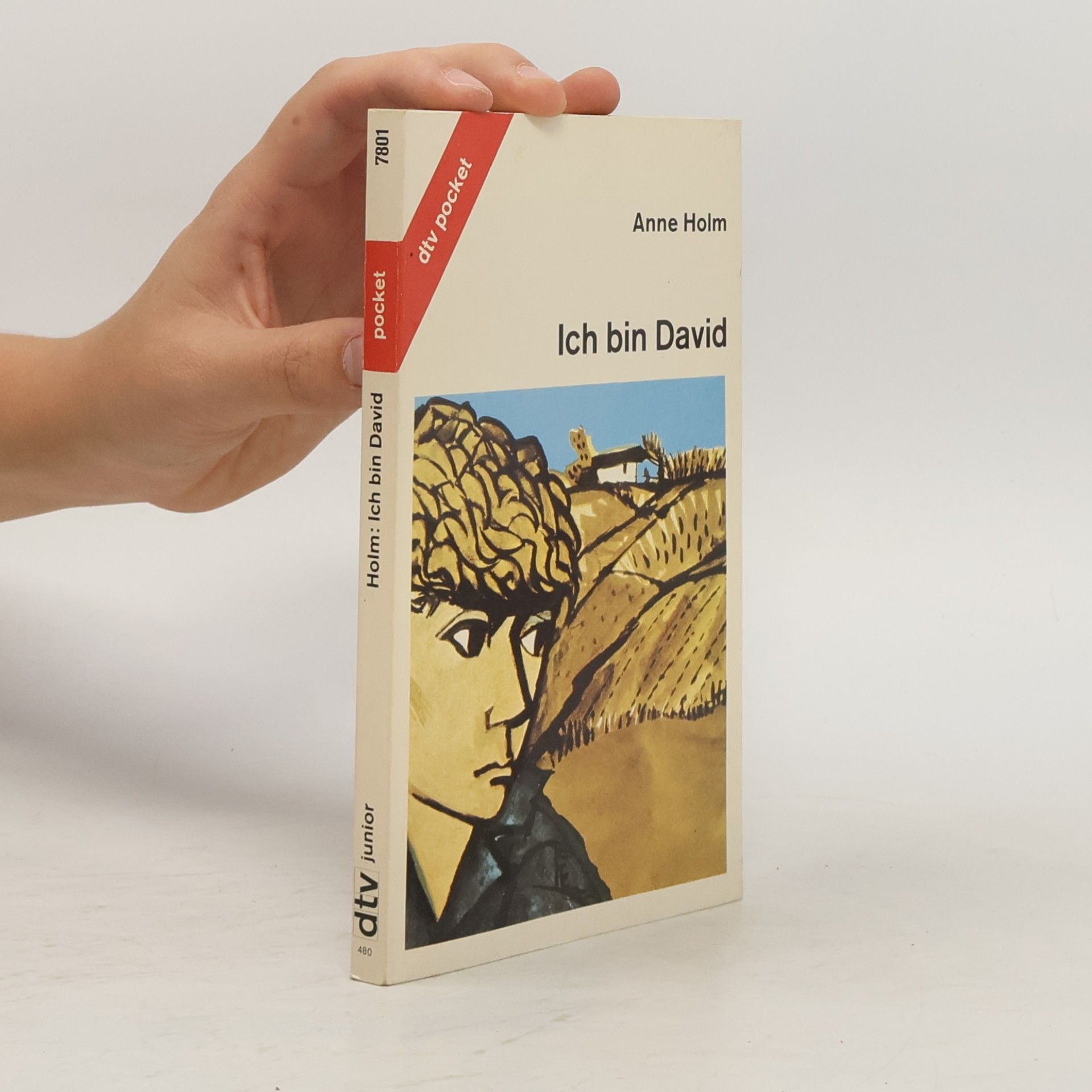 Anne Holm Ich bin David