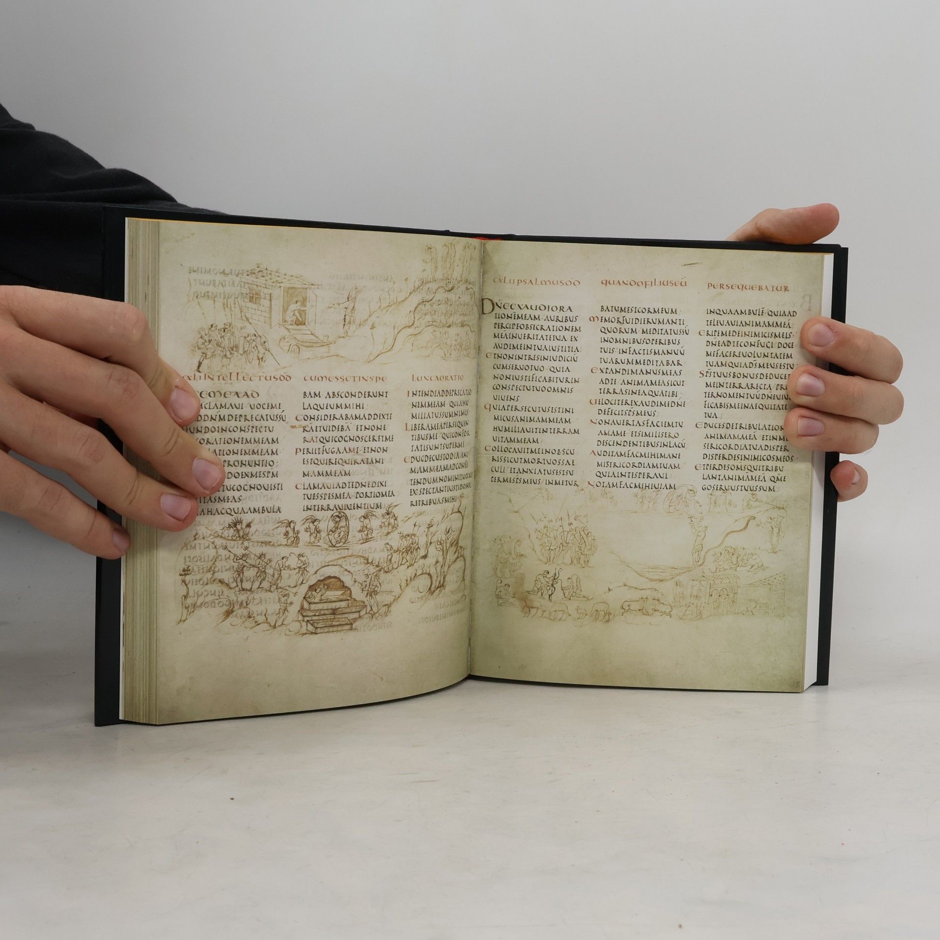 Koert van der Horst Der Utrecht-Psalter