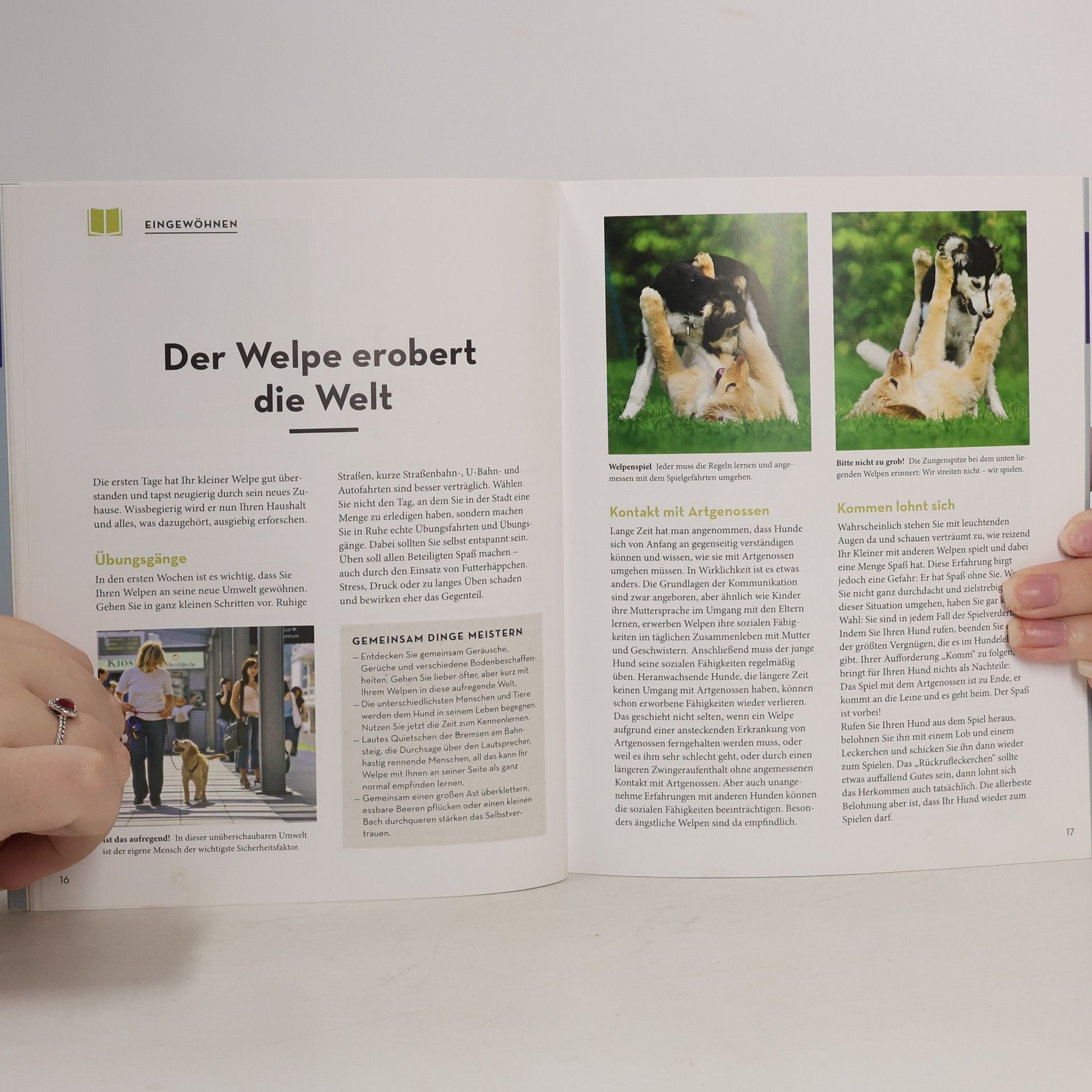 Renate Jones Welpenschule