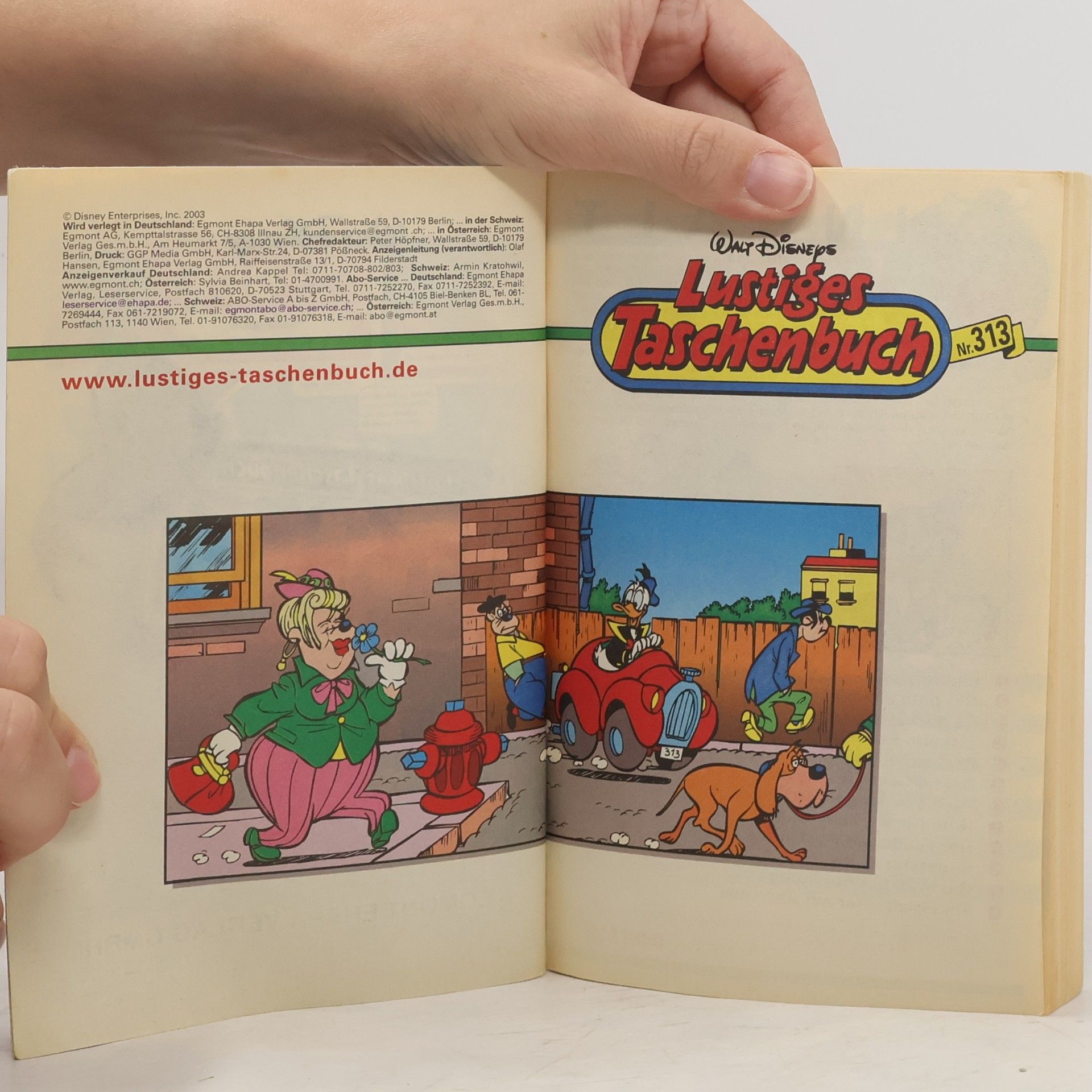 Walt Disney Lustiges Taschenbuch 313