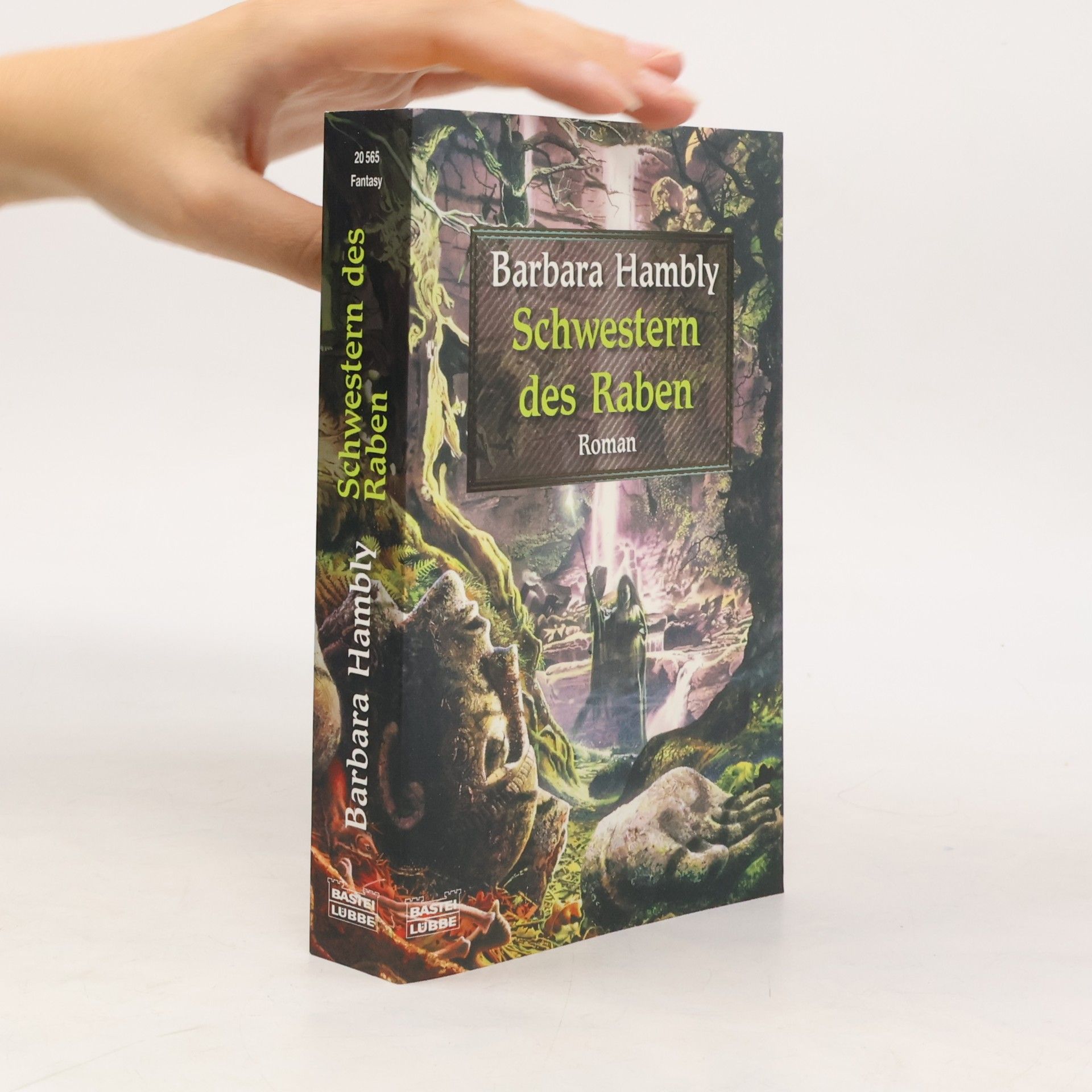 Barbara Hambly Schwestern des Raben