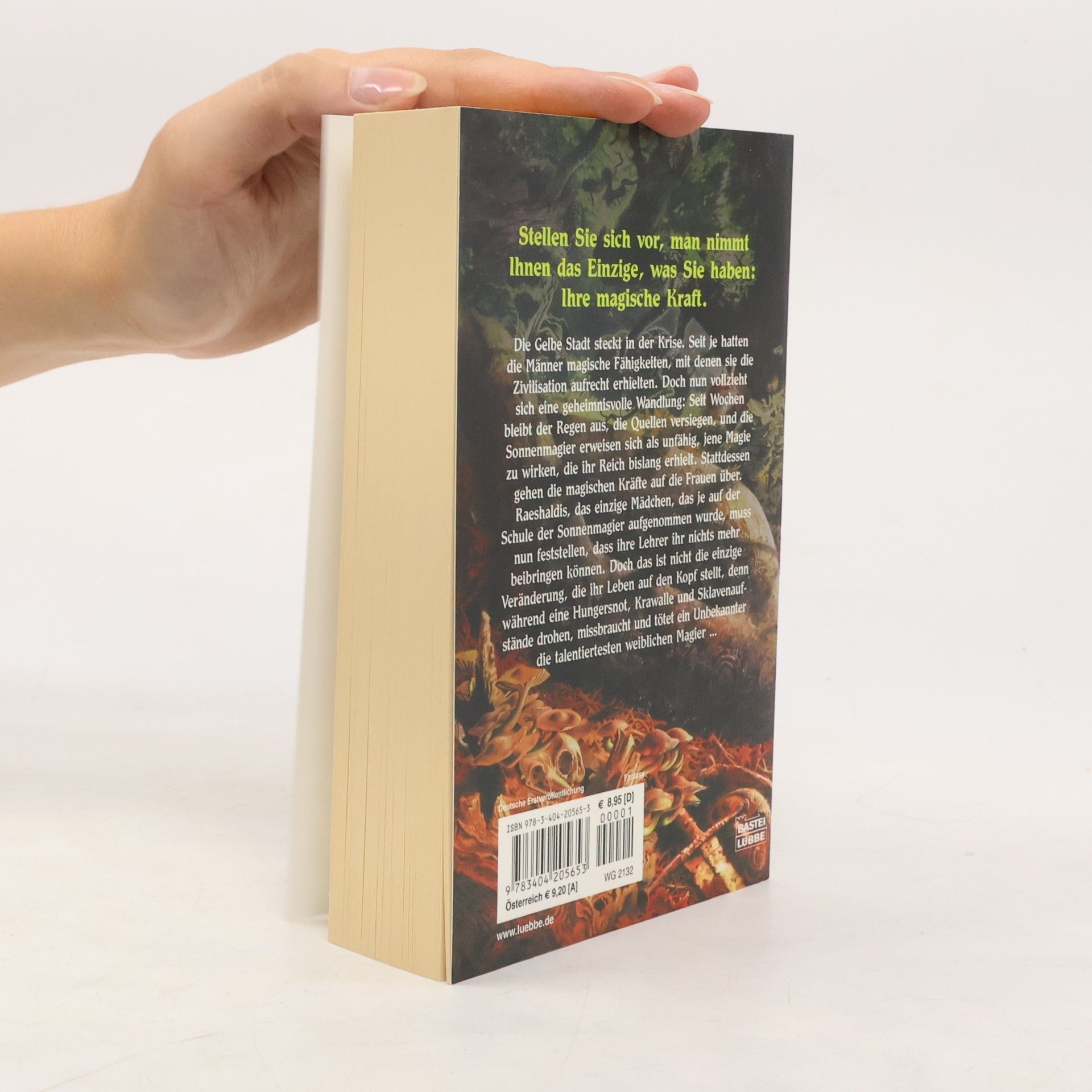 Barbara Hambly Schwestern des Raben