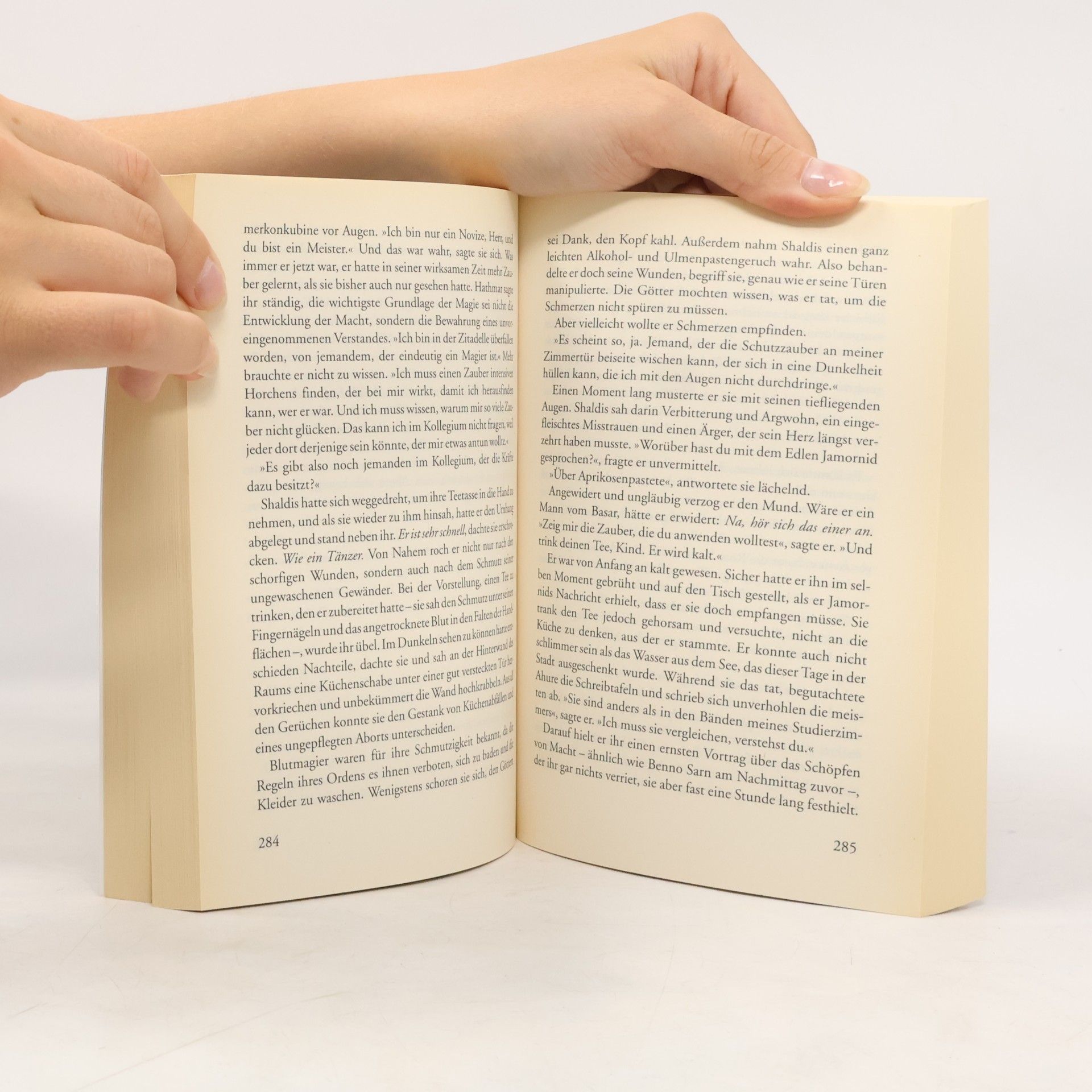 Barbara Hambly Schwestern des Raben