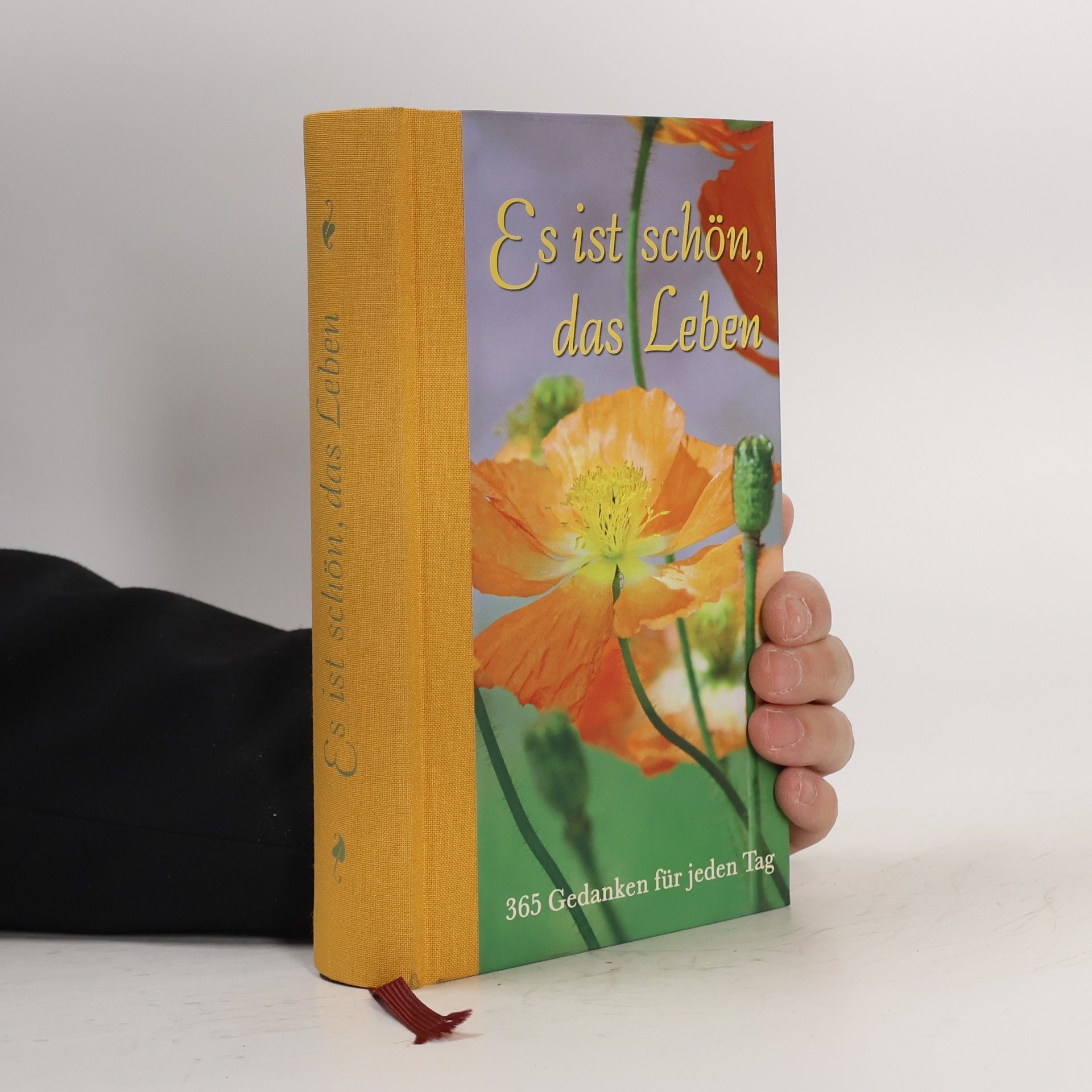 Collectif d'auteurs Es ist schön, das Leben