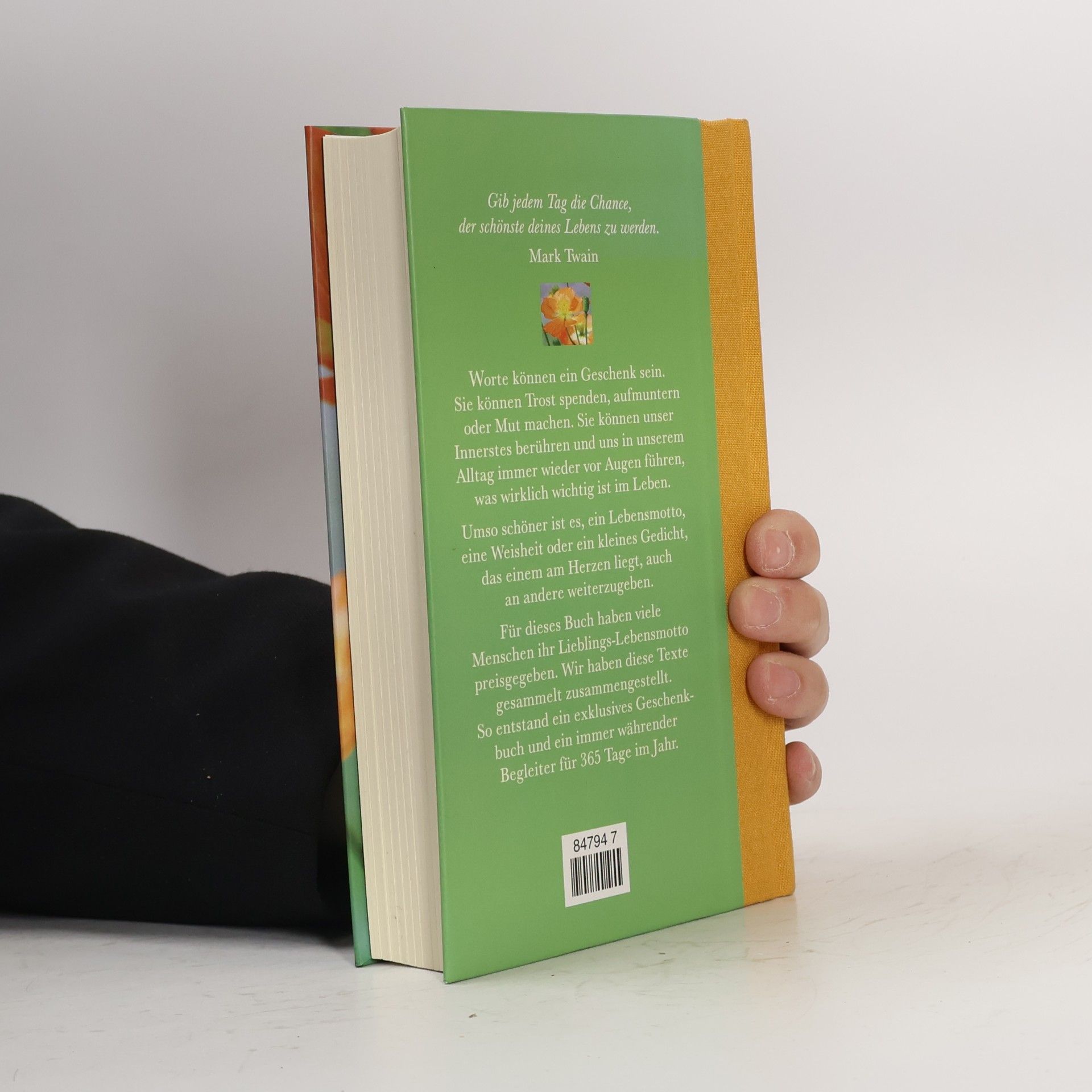 Autorenkollektiv Es ist schön, das Leben
